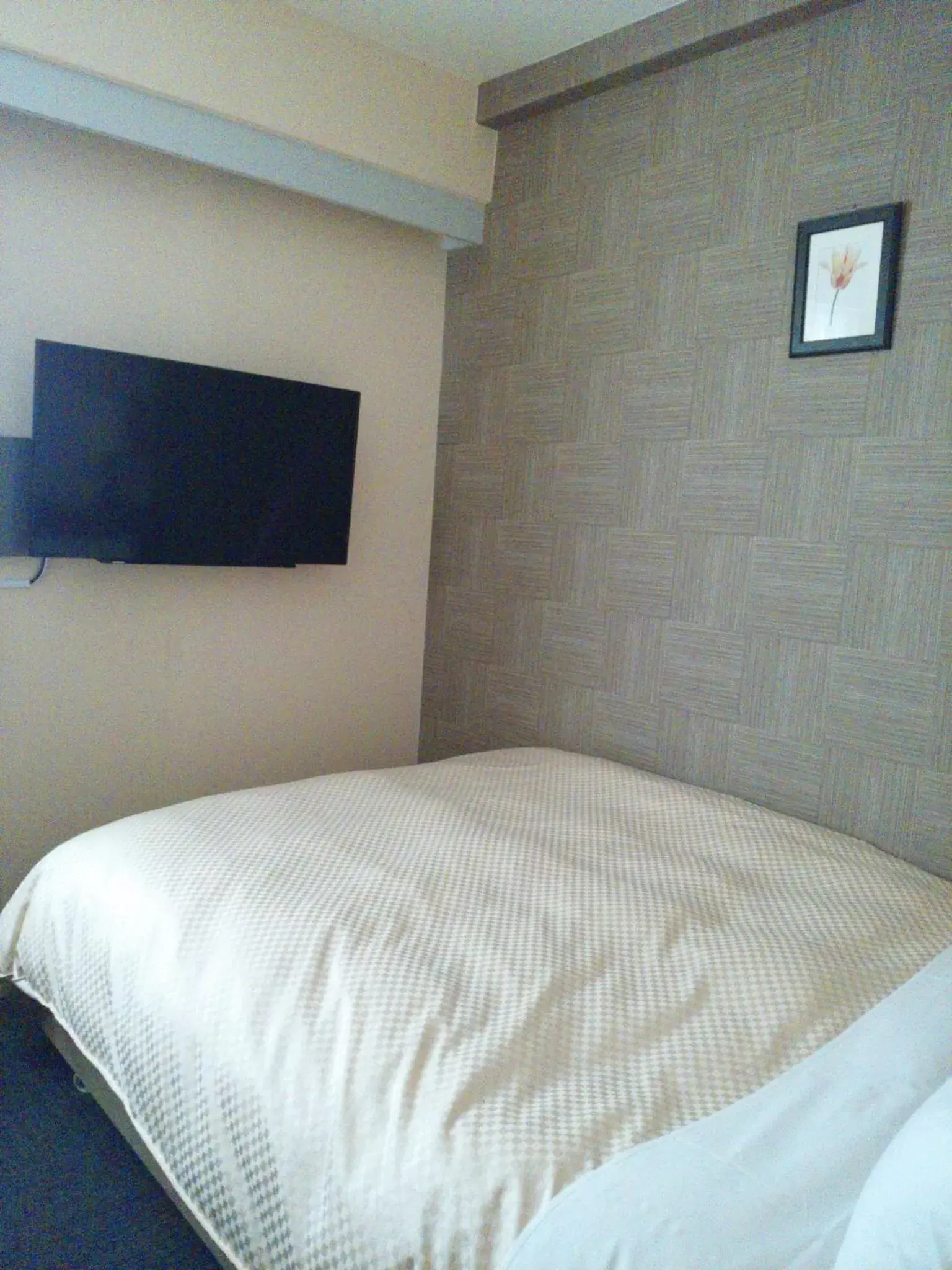 TV and multimedia, Bed in Ueno First City Hotel