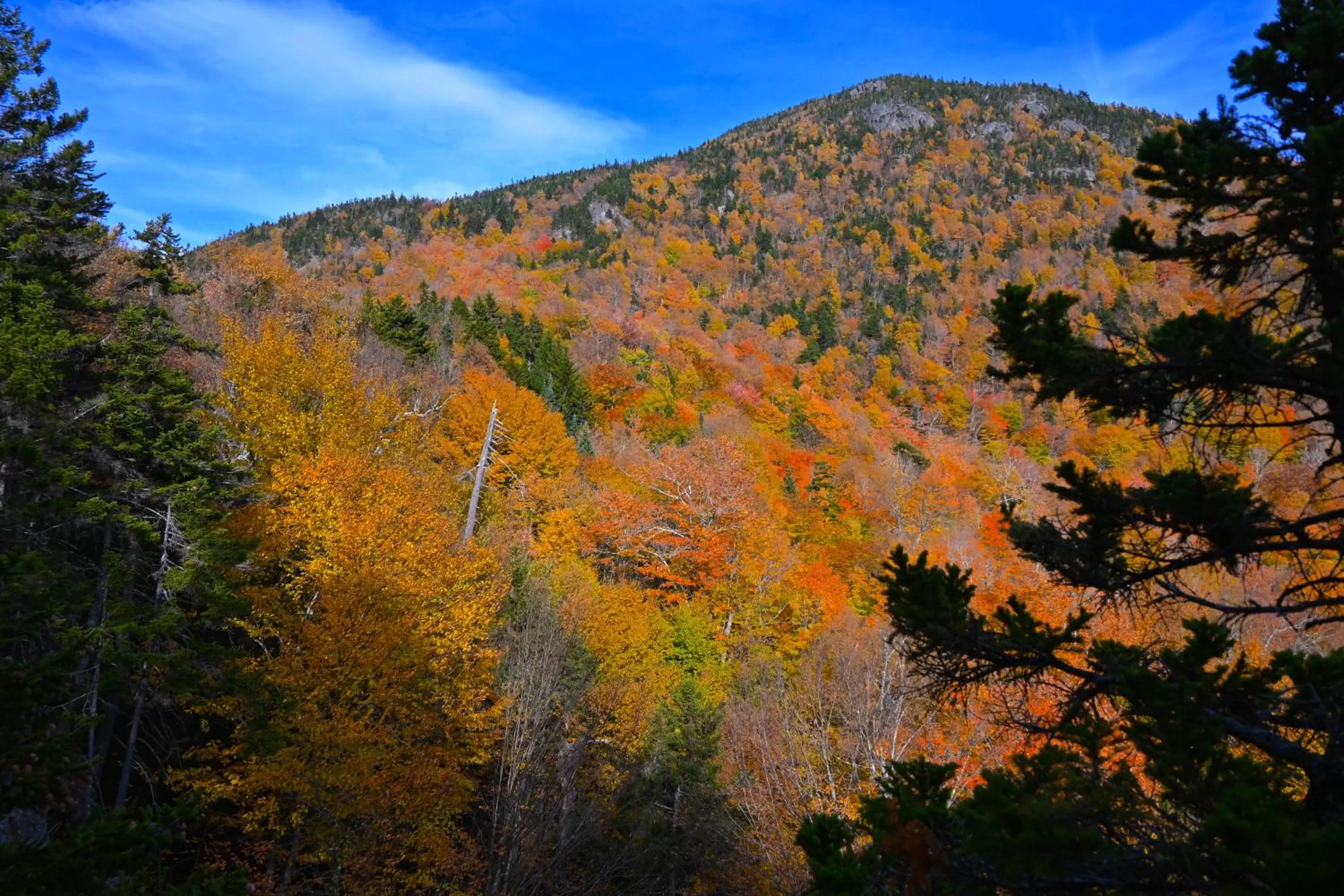 Mountain view in The Lodge at Jackson Village