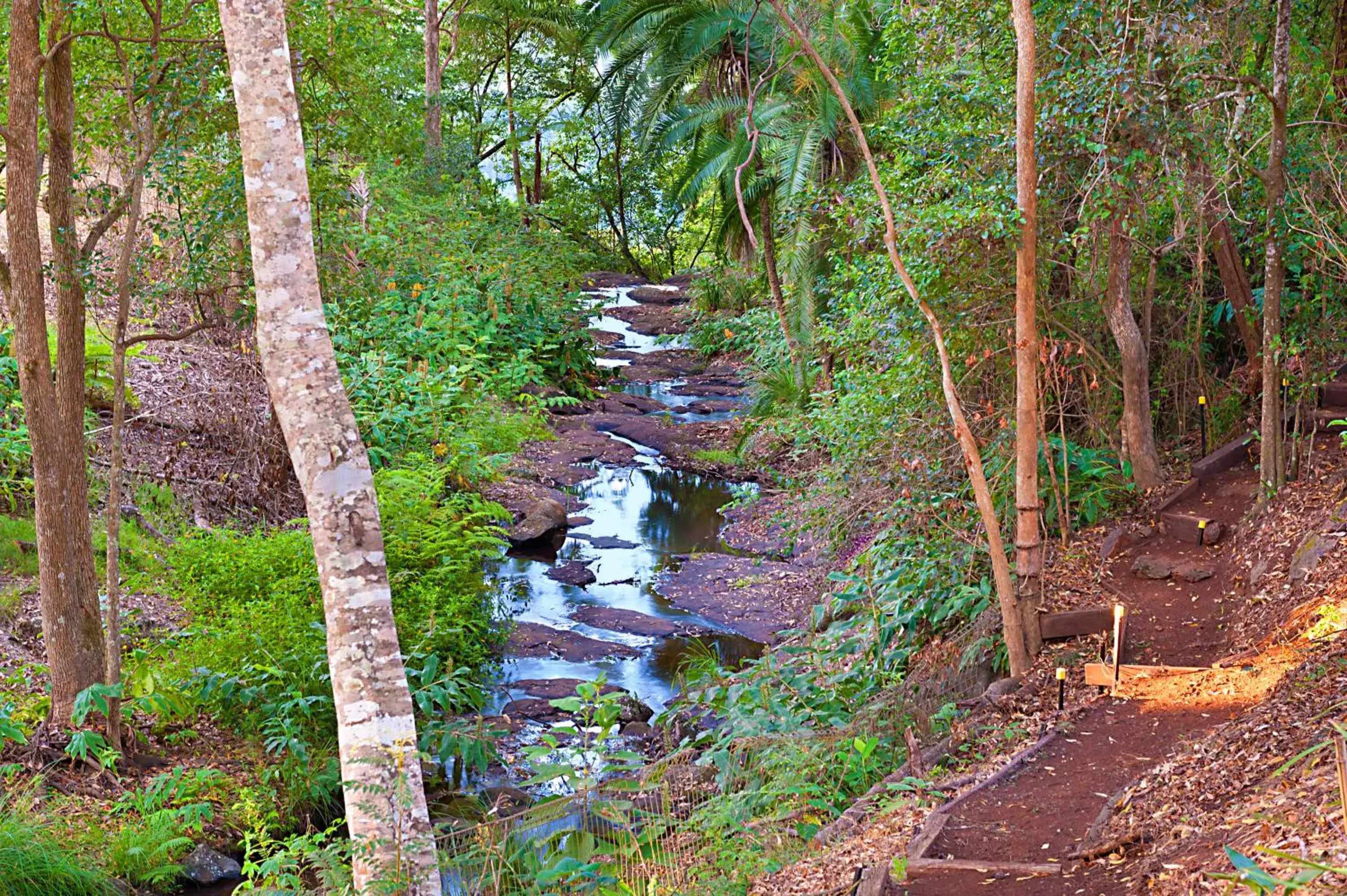 Garden in Escarpment Retreat & Day Spa for Couples