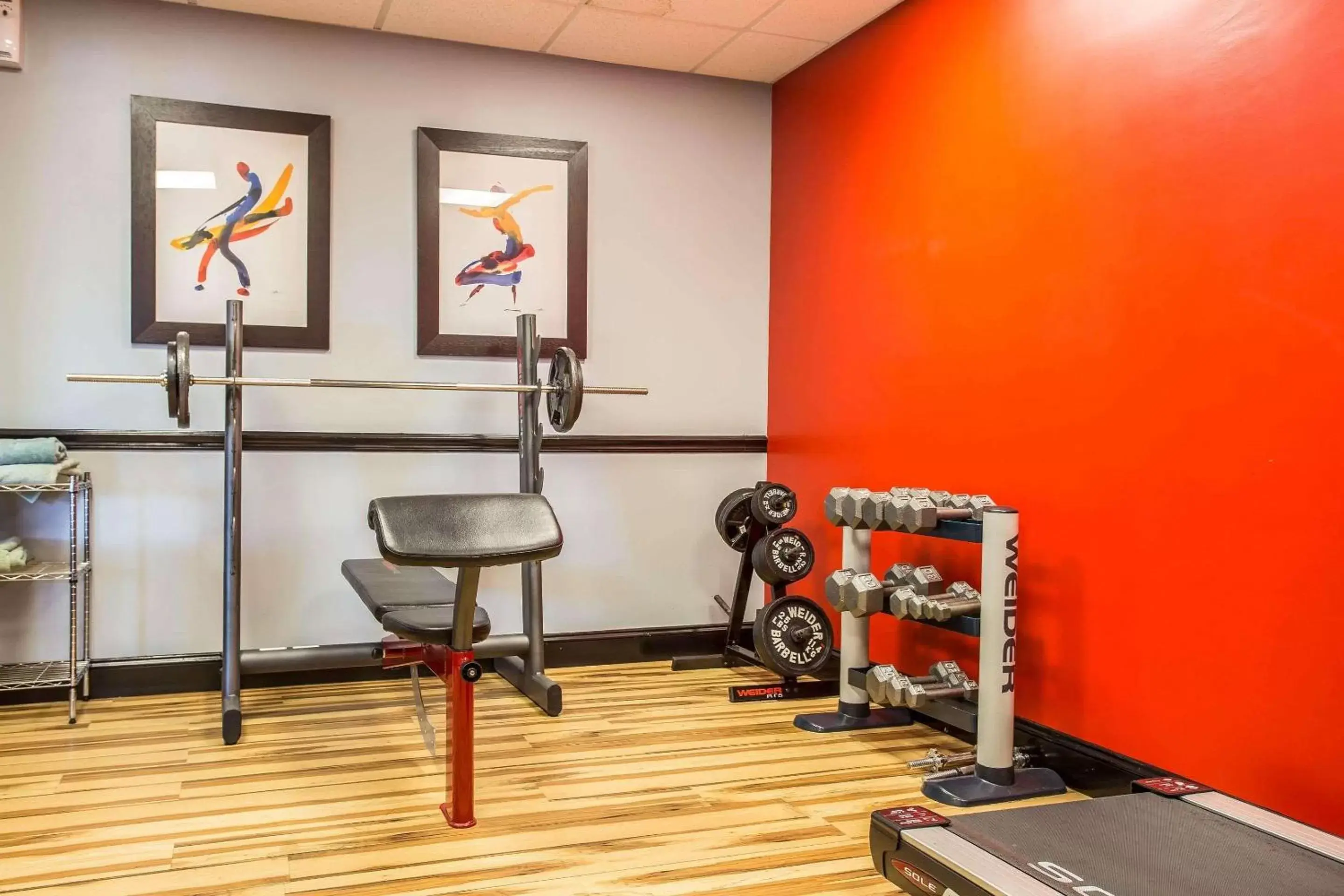 Fitness centre/facilities, Fitness Center/Facilities in Quality Inn & Suites Aiken