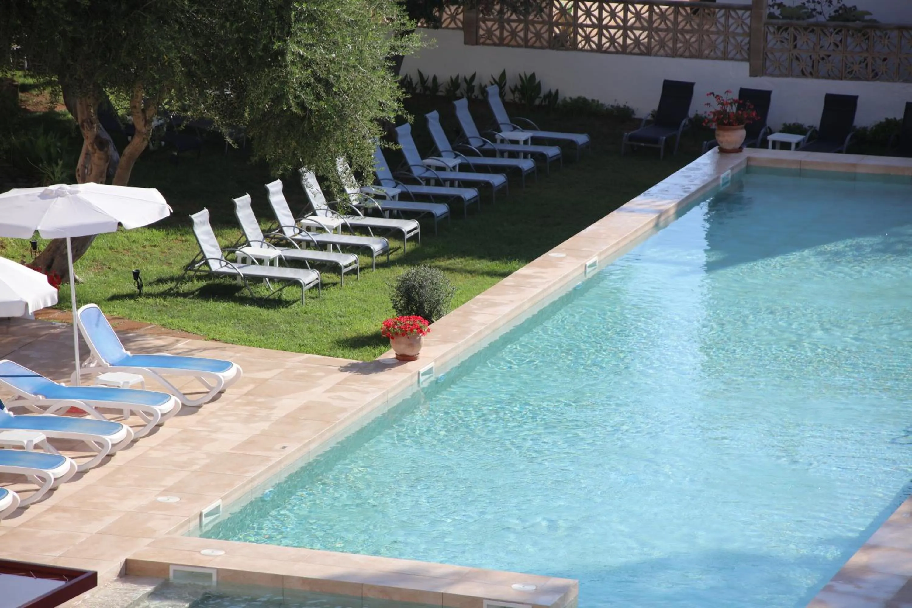 Garden in Hotel Clumba