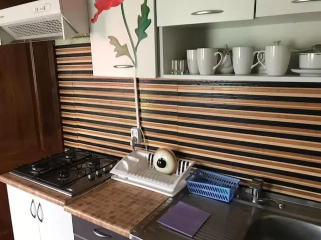 Kitchen/Kitchenette in Sadyba u Gansa