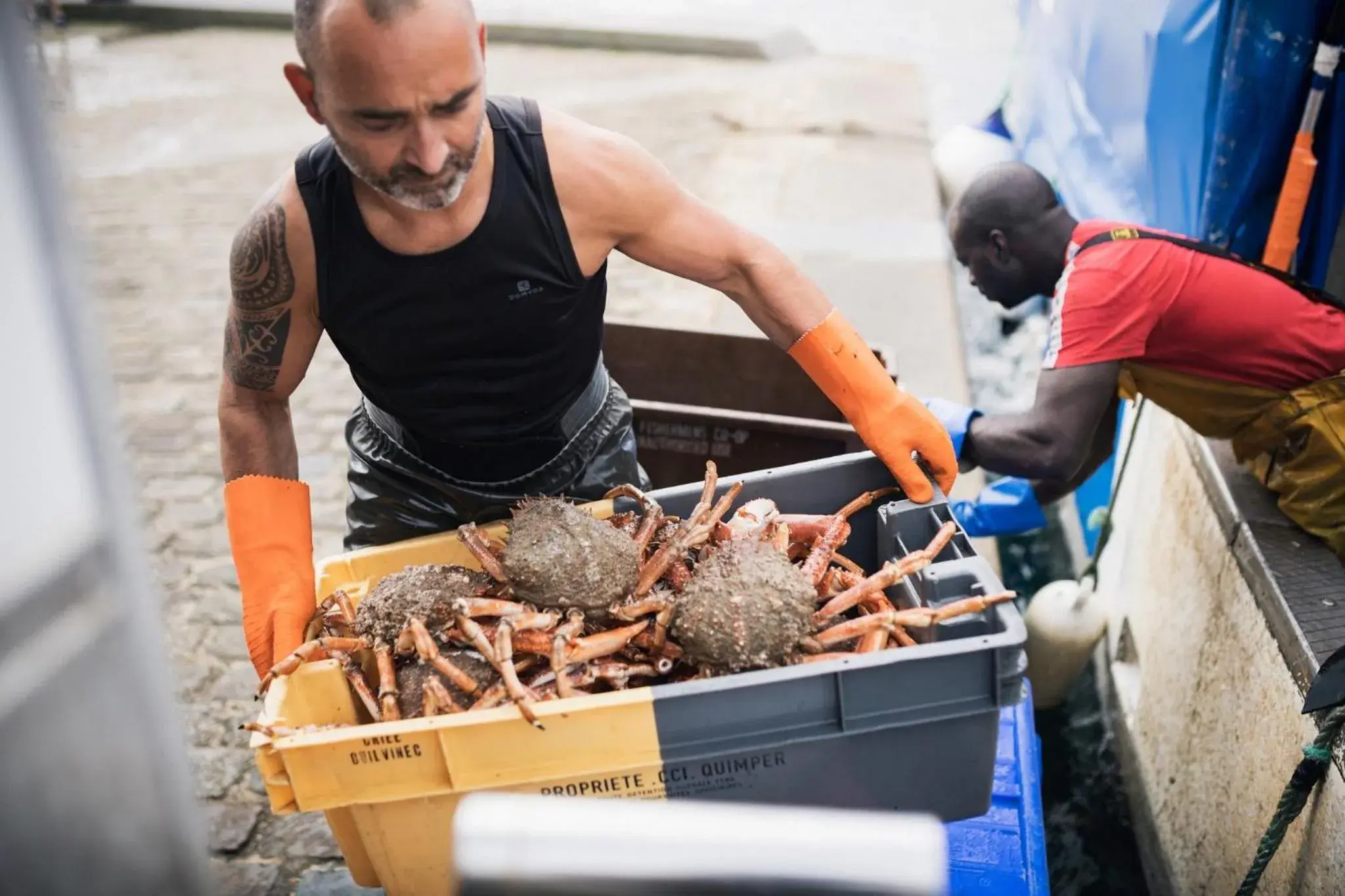 Food, Other Activities in Hôtel De La Vallée