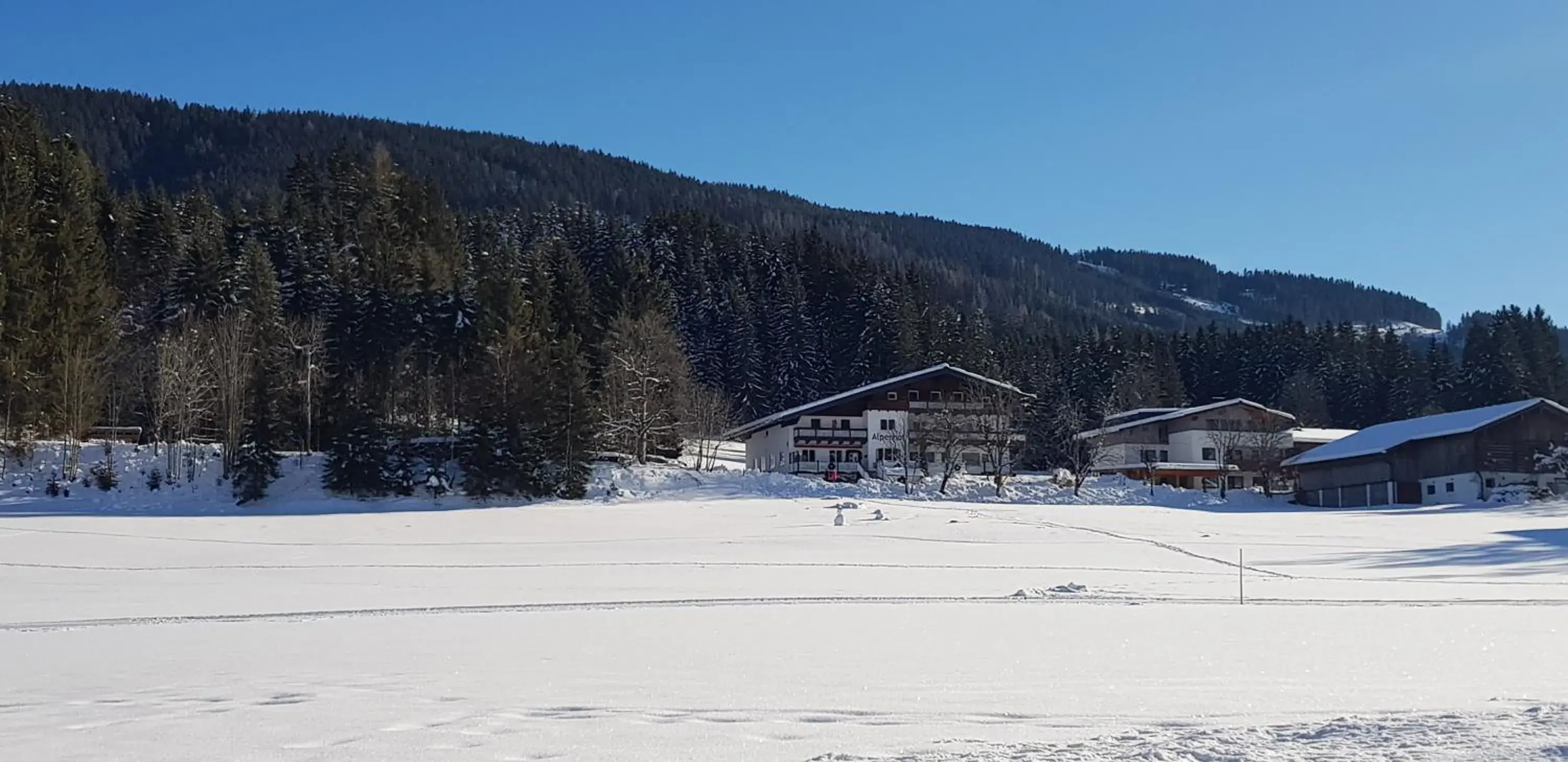 Winter in Alpenhof