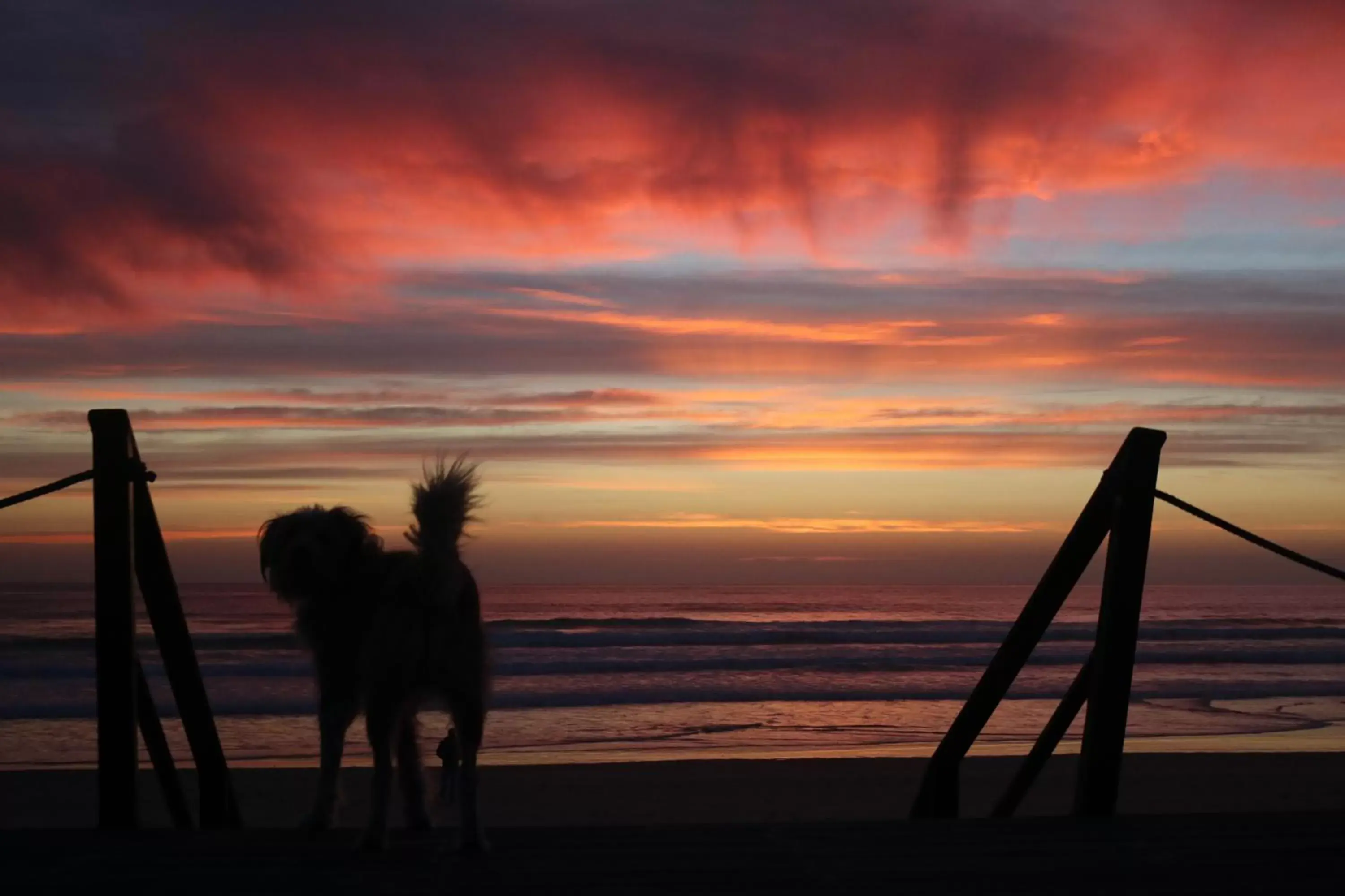 Sunset in Green Element Guesthouse