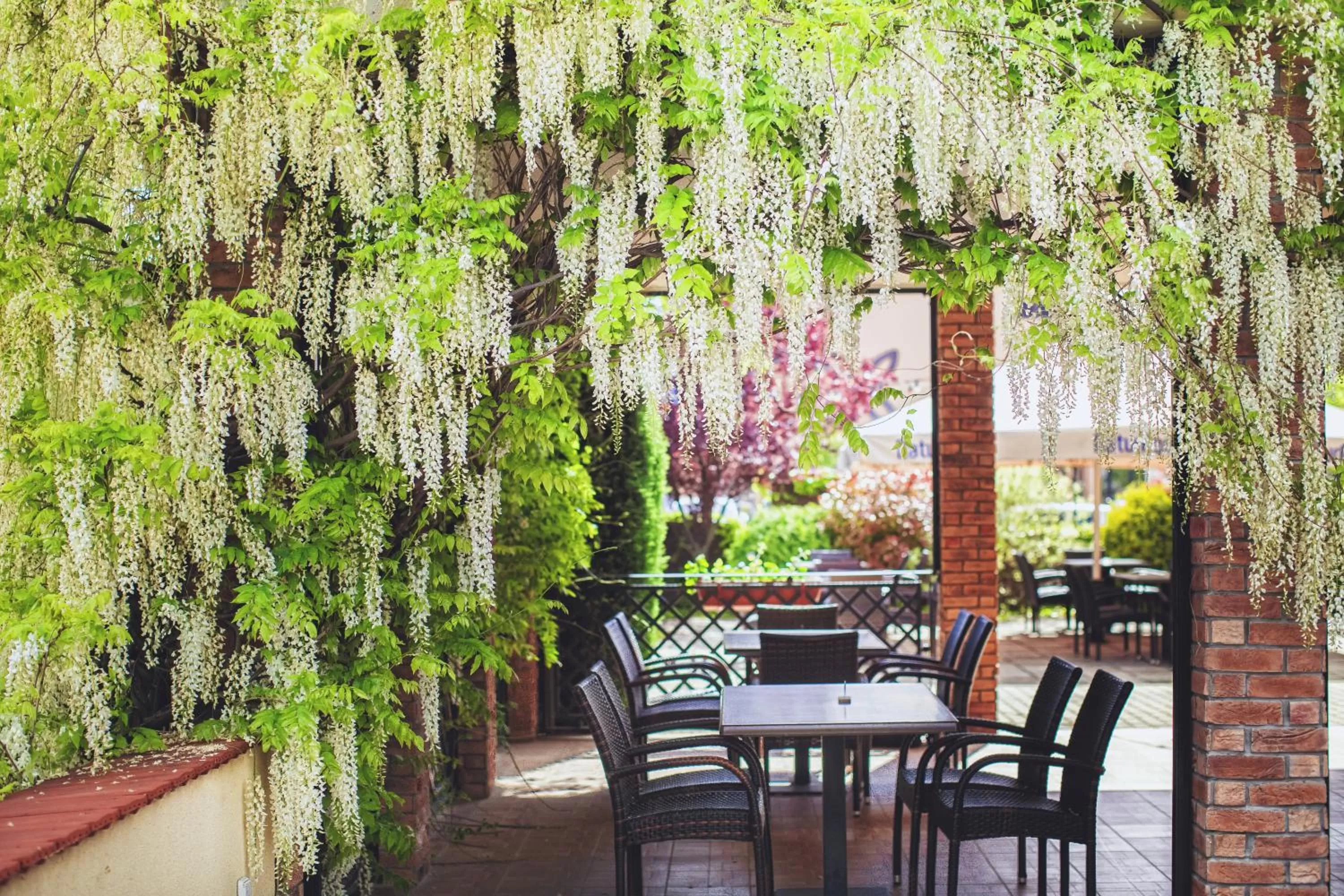 Balcony/Terrace in Caramell Premium Resort