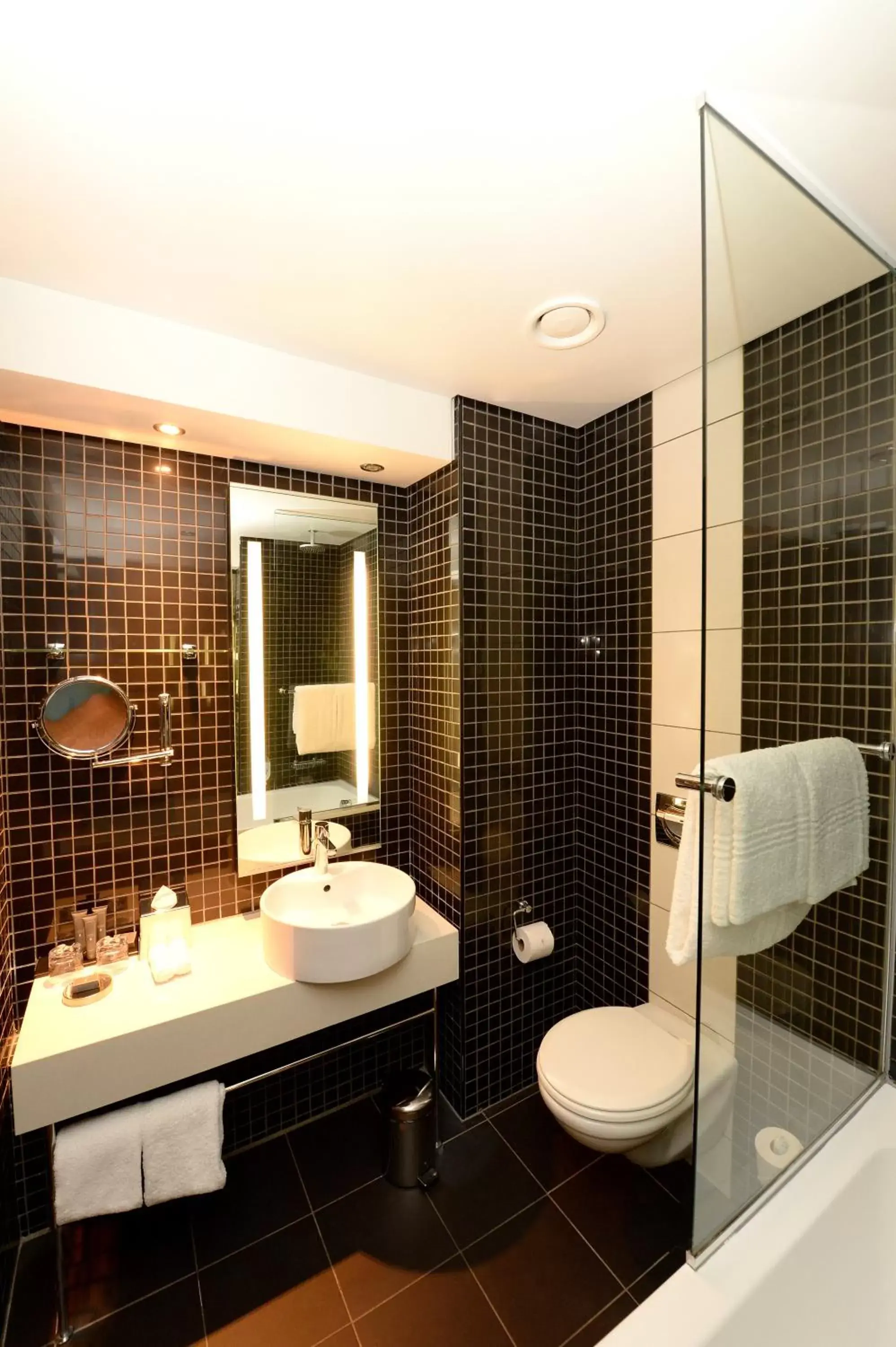 Bathroom in Southern Sun Rosebank