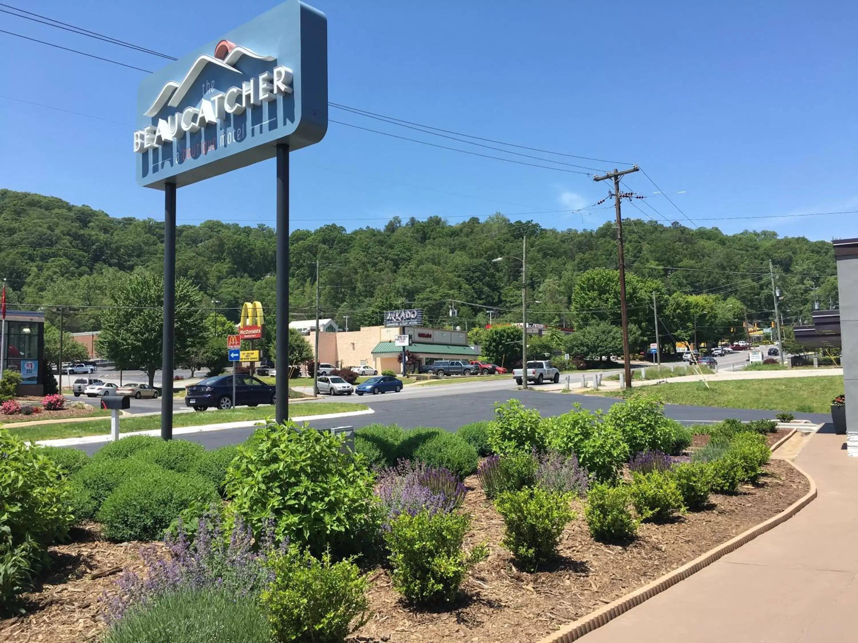 Garden in The Beaucatcher, a Boutique Motel