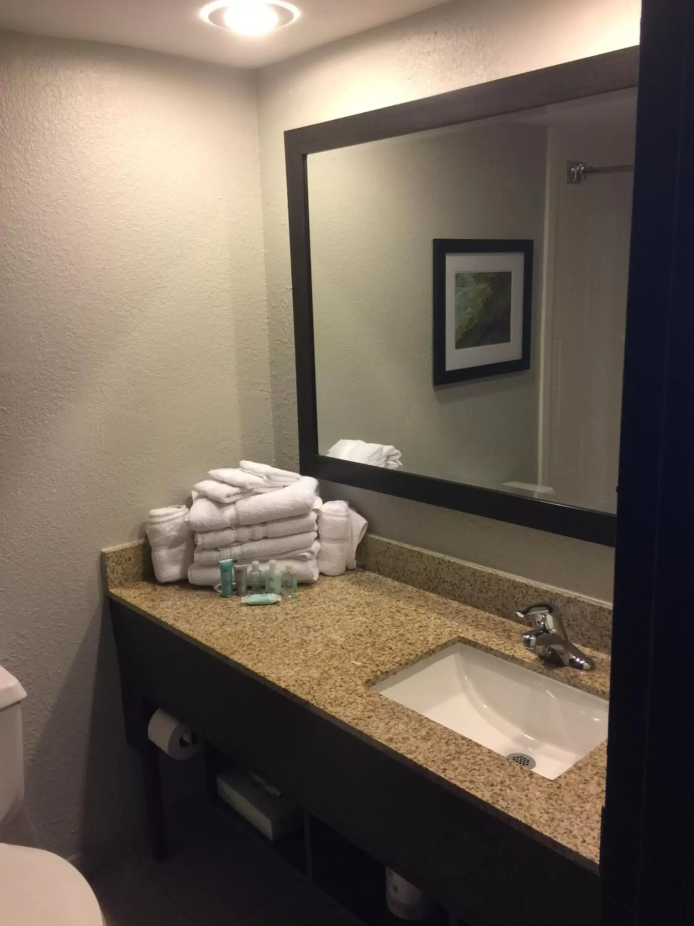 Other, Bathroom in Wyndham Garden Hotel - Jacksonville