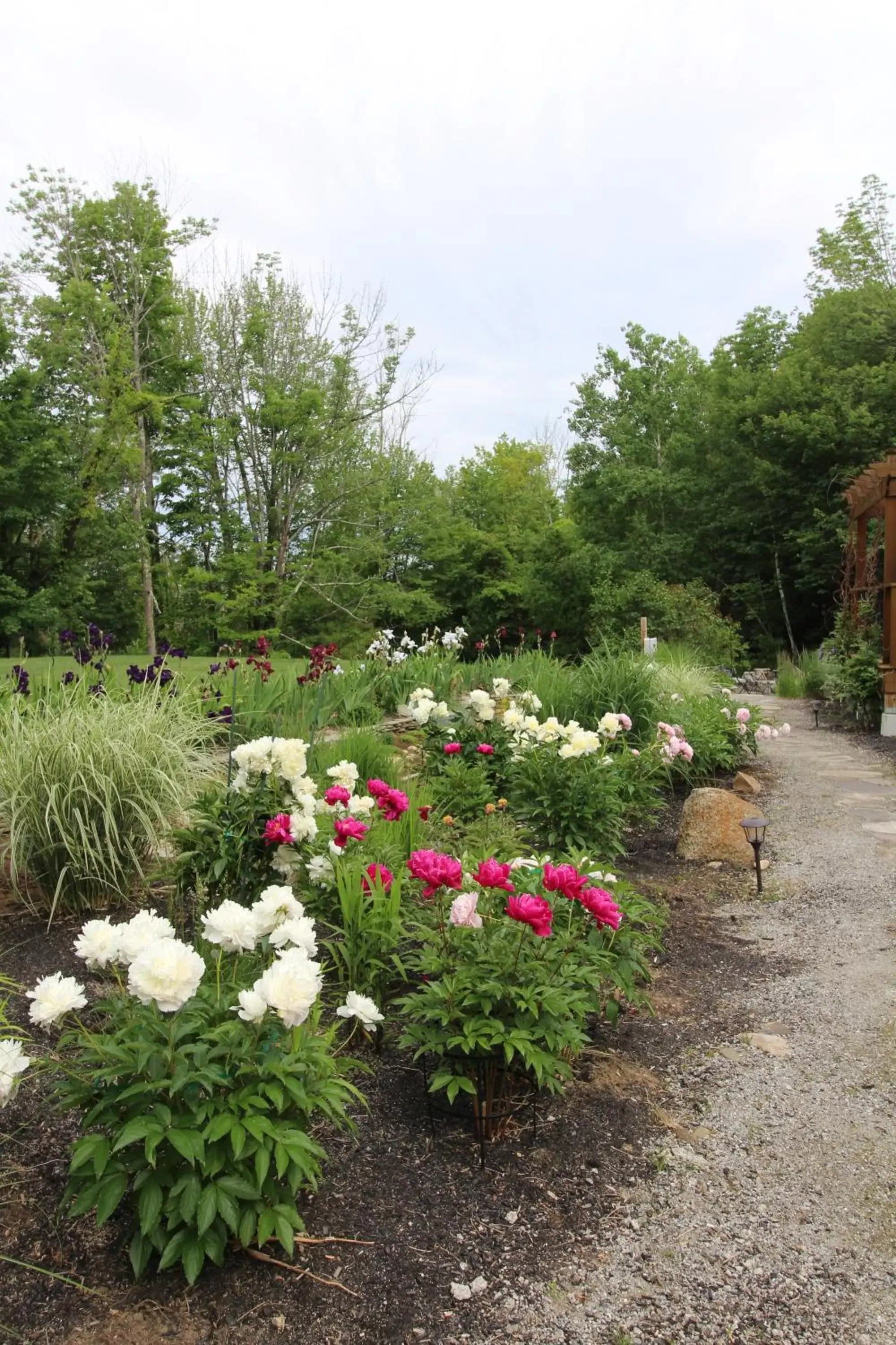 Garden in The Nutmeg Inn