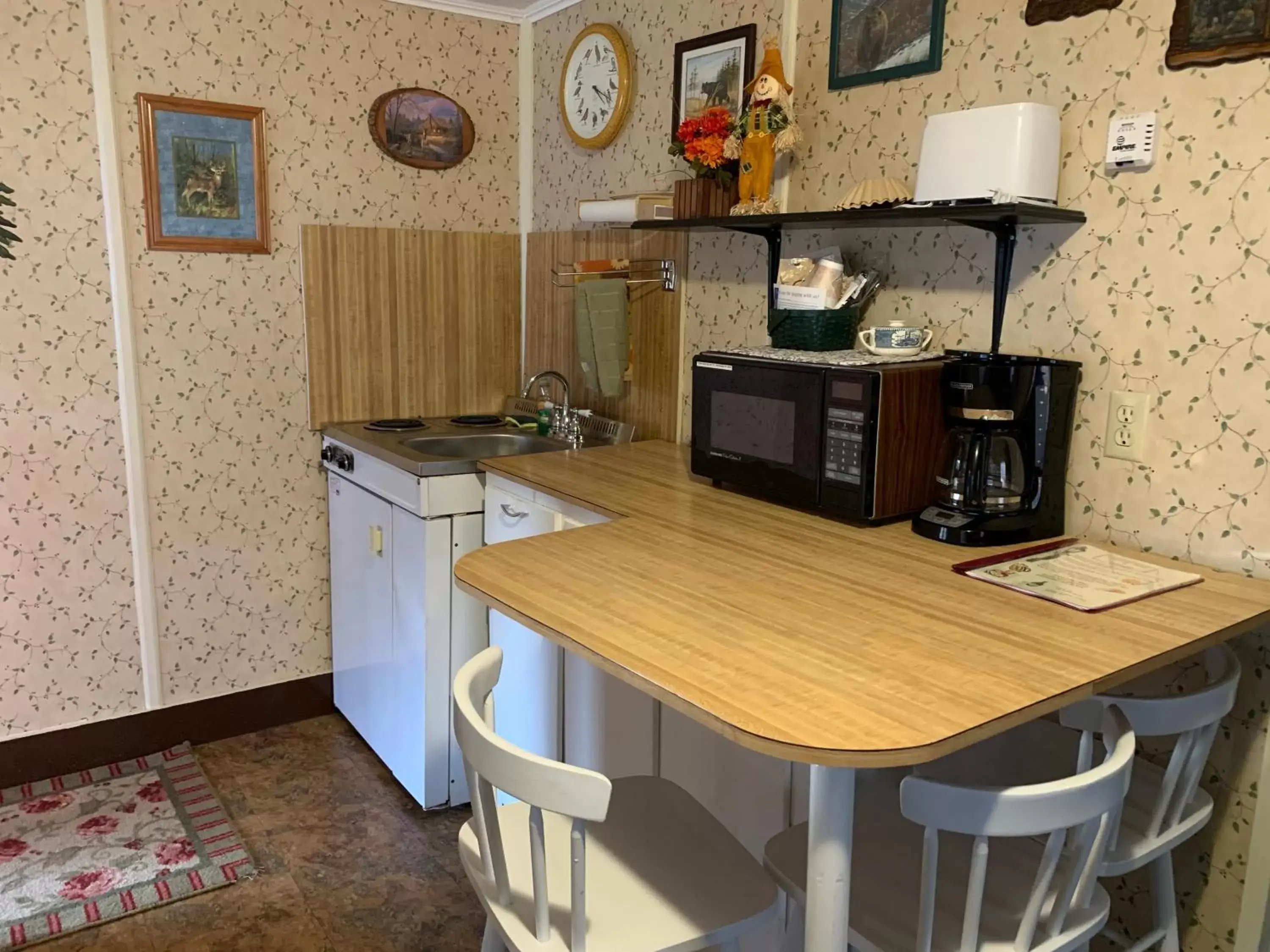 Kitchen/Kitchenette in carrollmotel and cottages