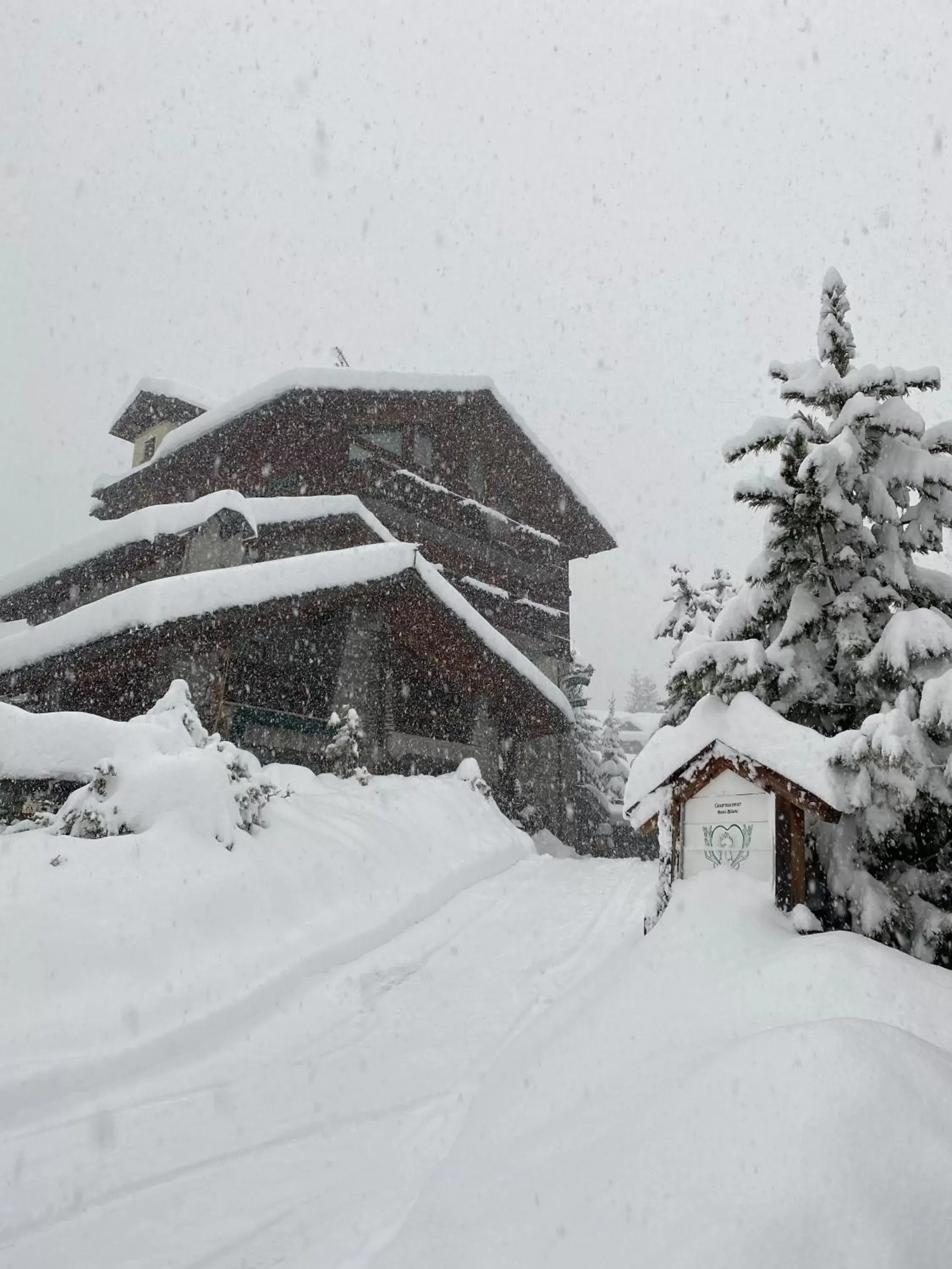 Property building, Winter in Hotel Walser Courmayeur