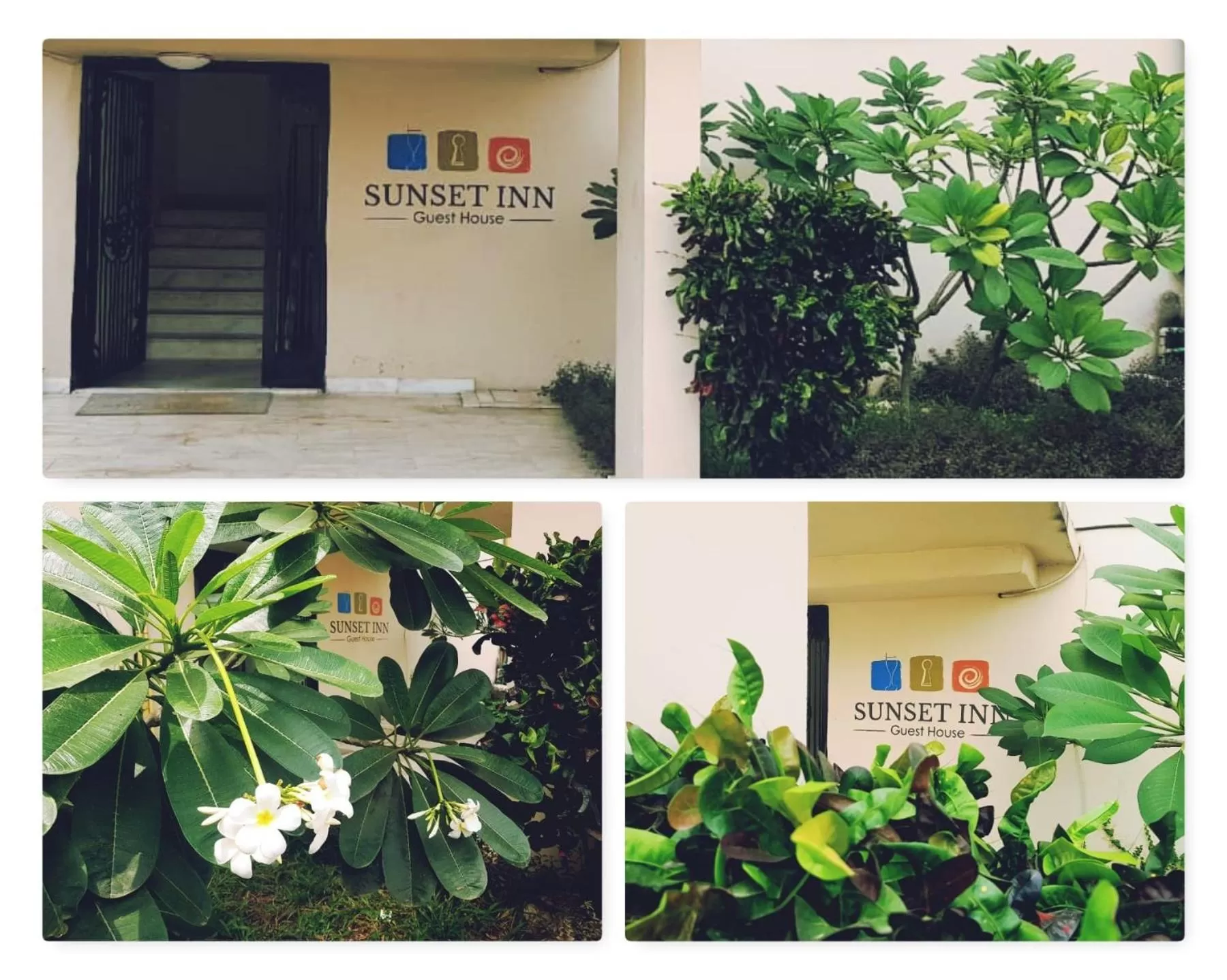 Garden in Sunset Inn