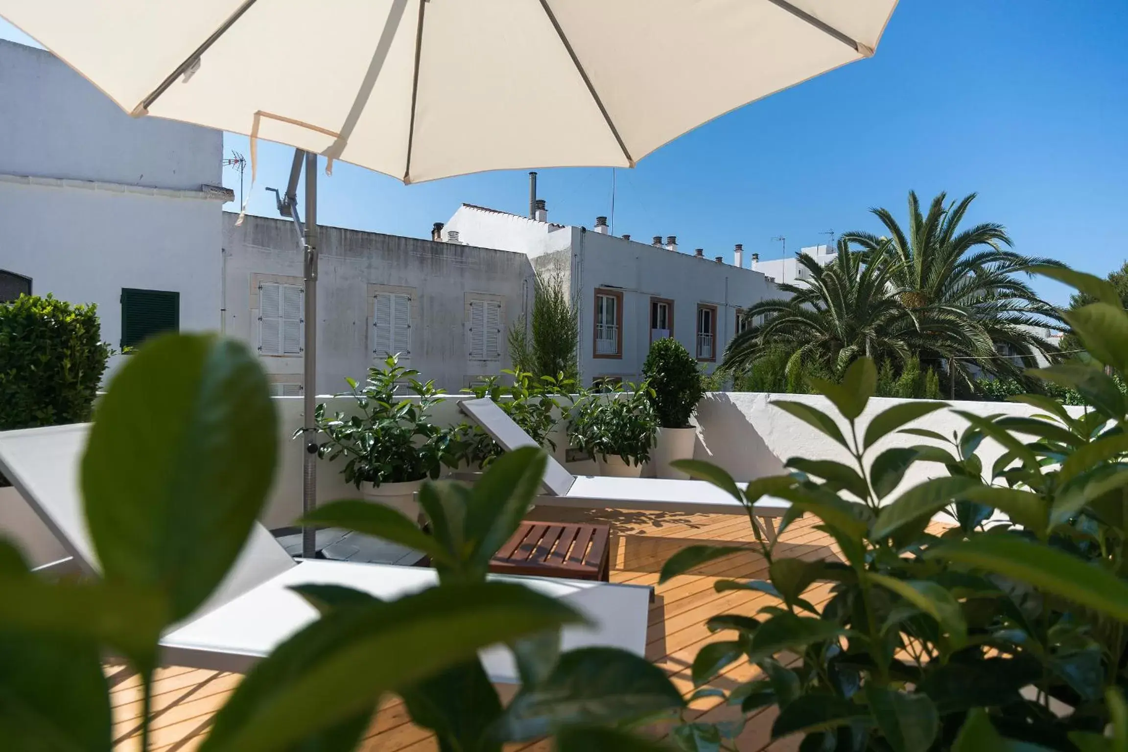 Swimming Pool in Sodium Boutique Hotel