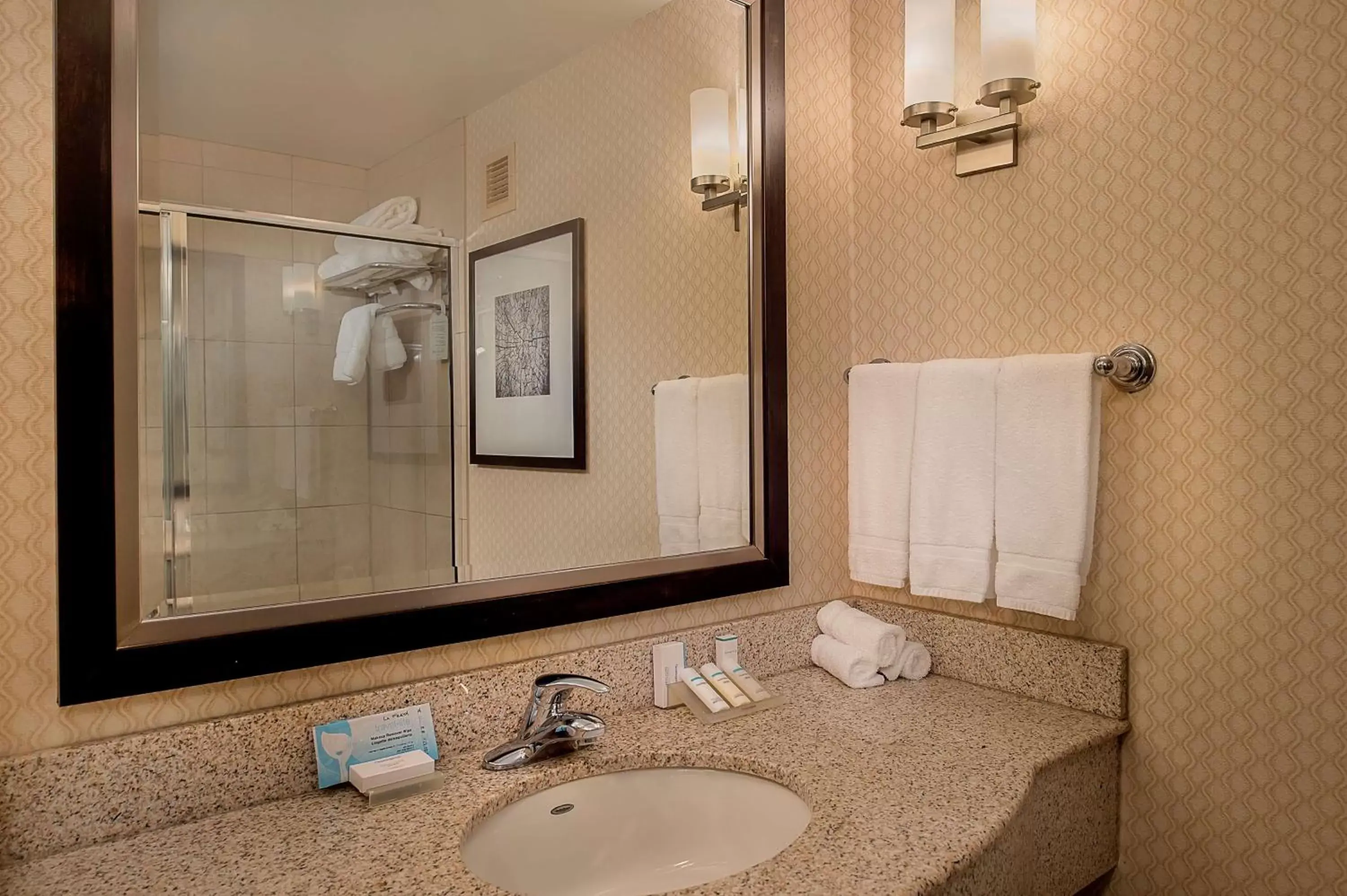 Bathroom in Hilton Garden Inn St. Louis Airport