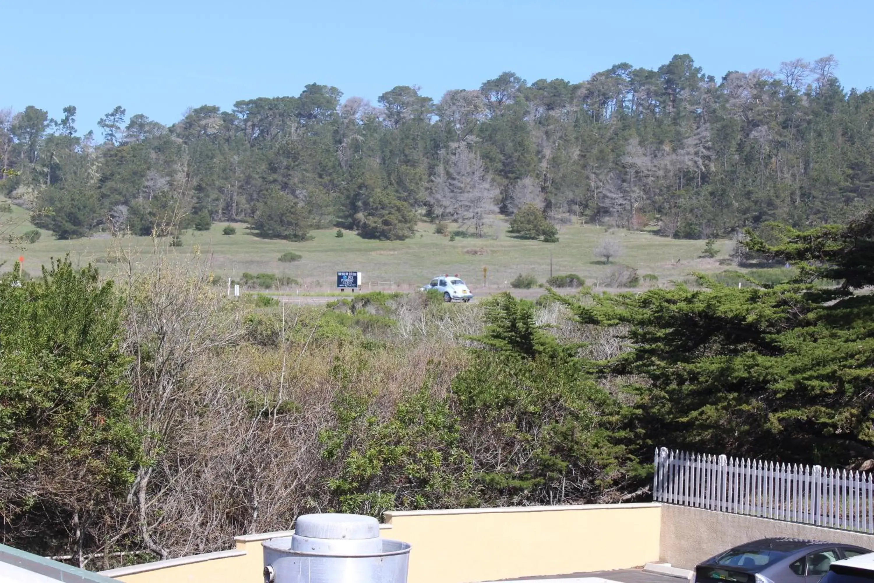 Garden view in Cambria Shores Inn