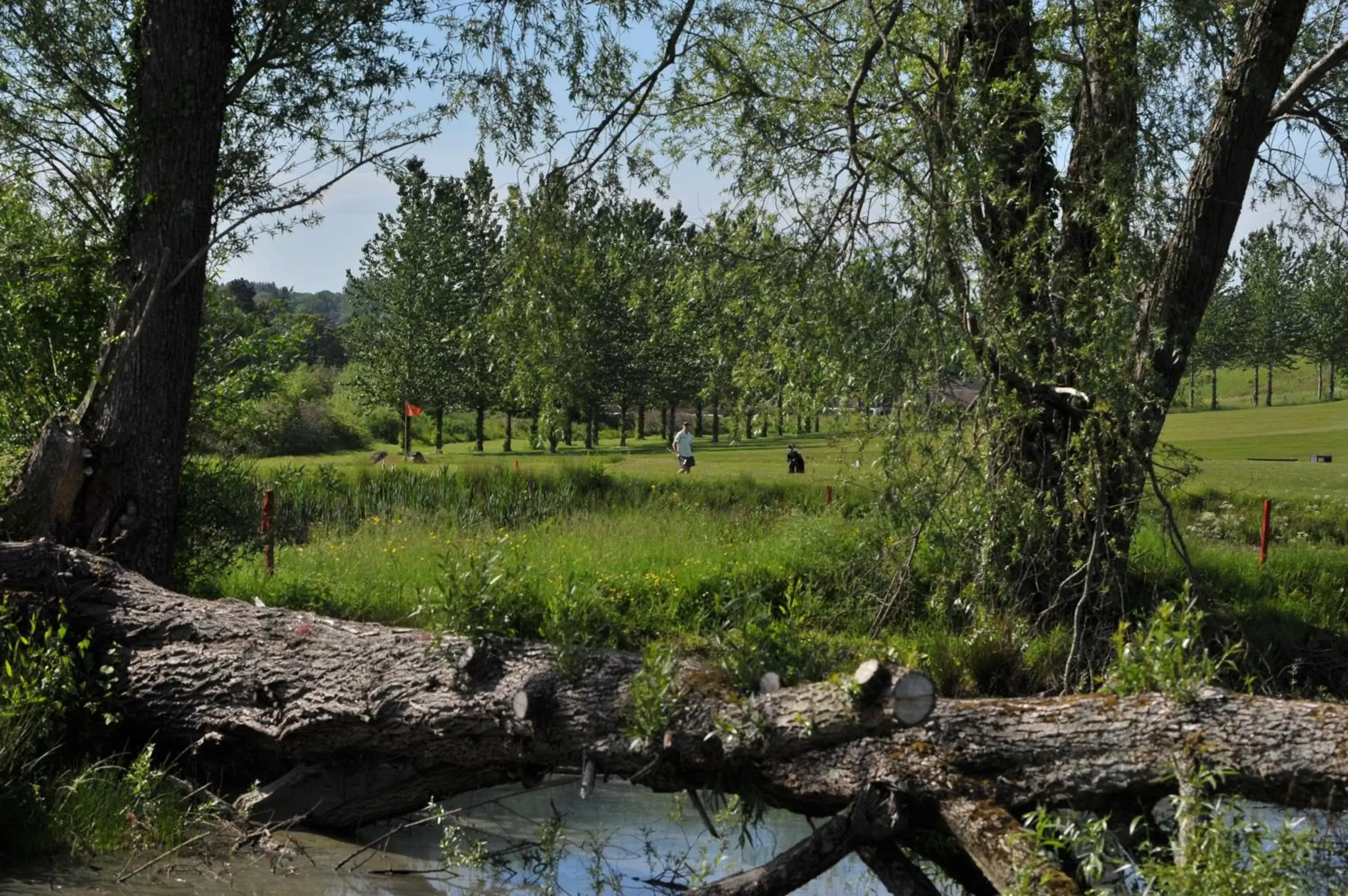 Golfcourse in Bells Hotel