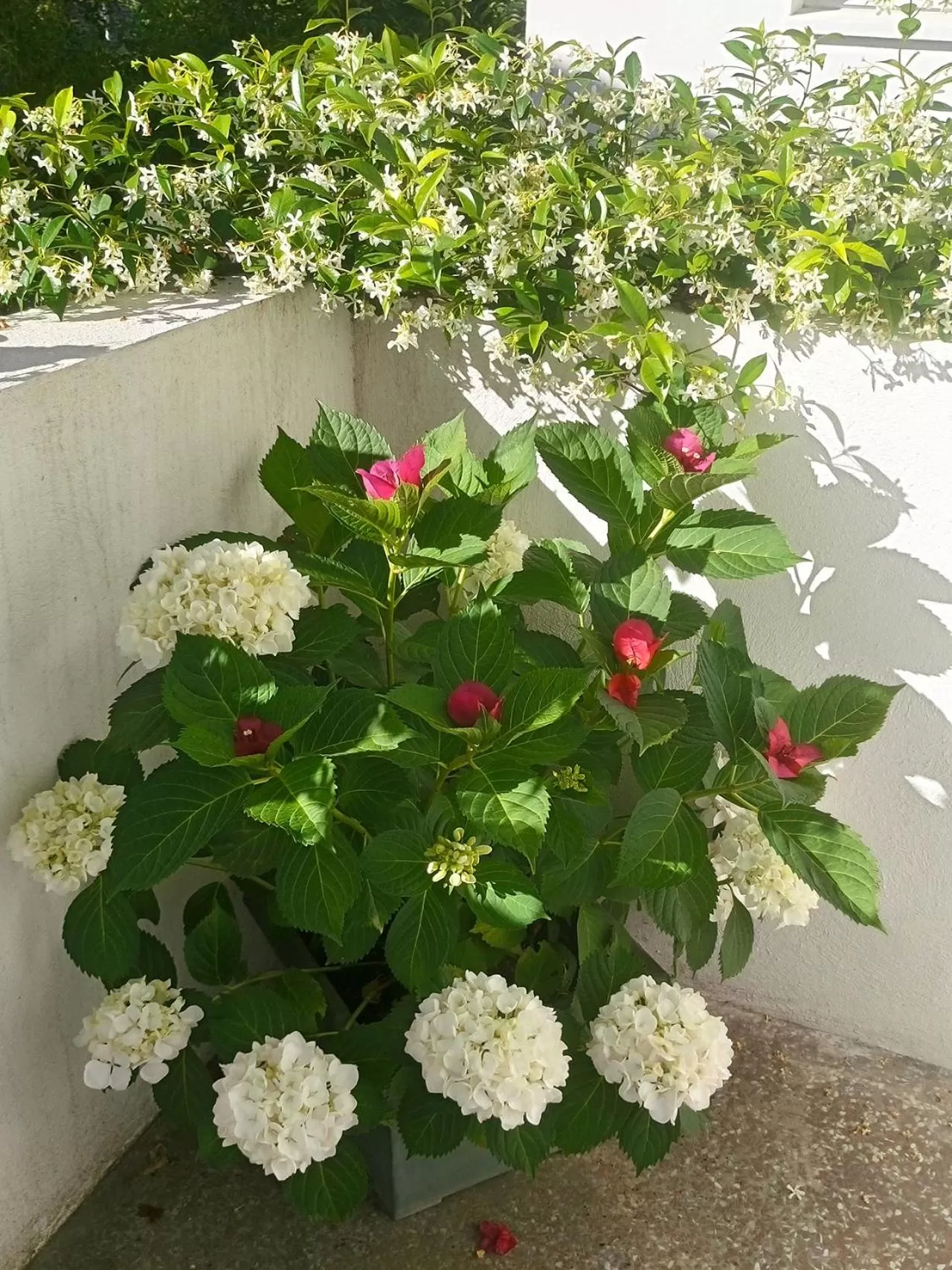 Balcony/Terrace in Le Clos Chez Michel