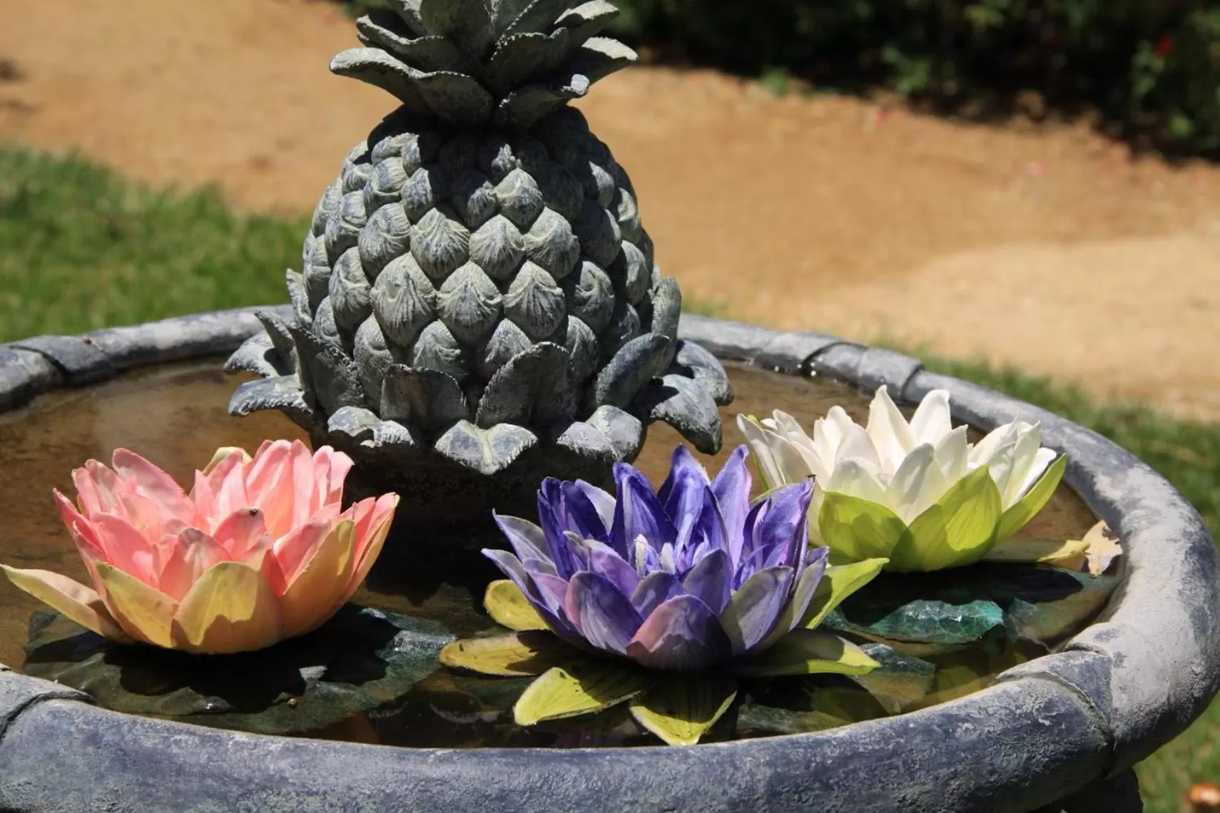 Olallieberry Inn Bed and Breakfast