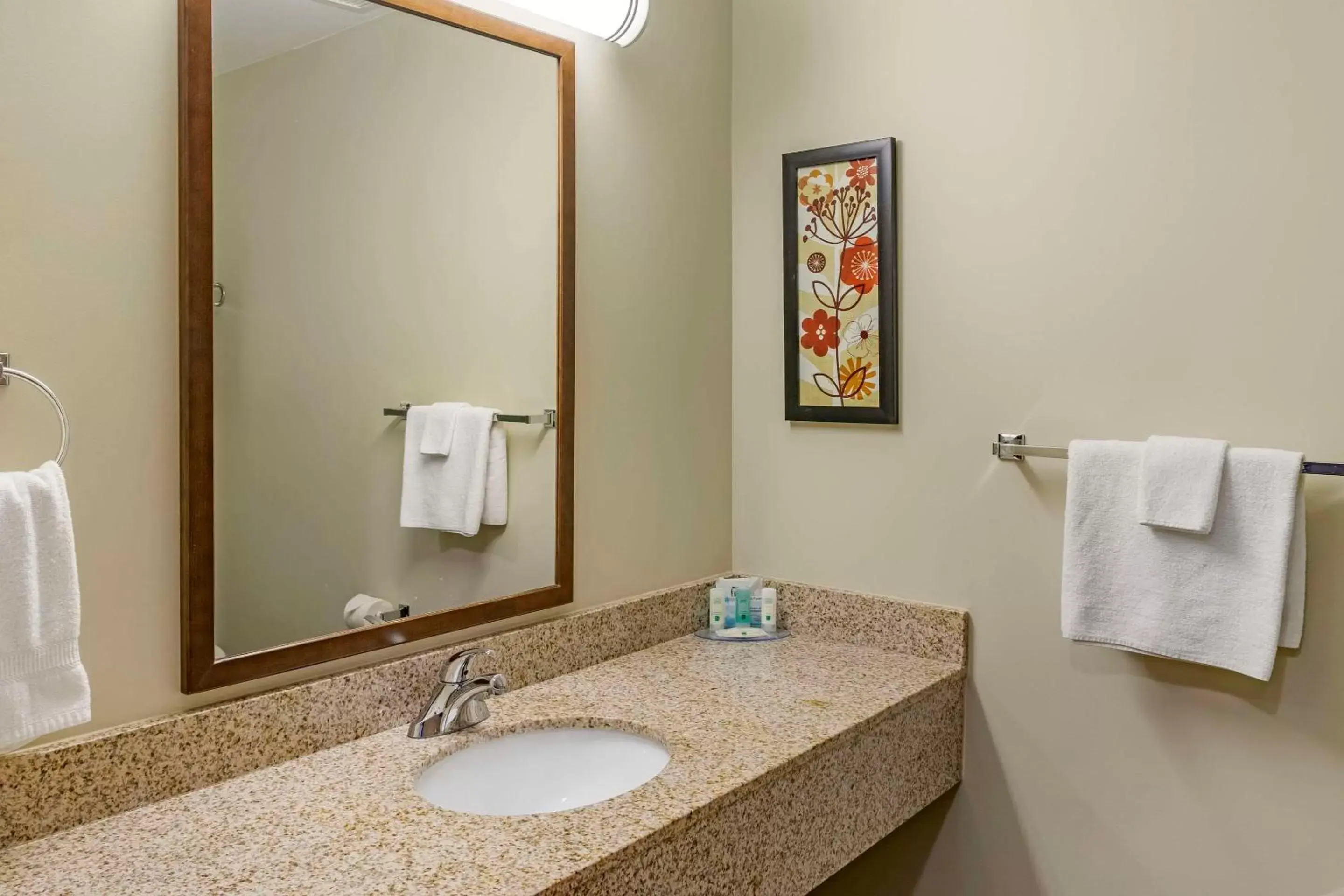 Bedroom, Bathroom in Quality Inn Winkler