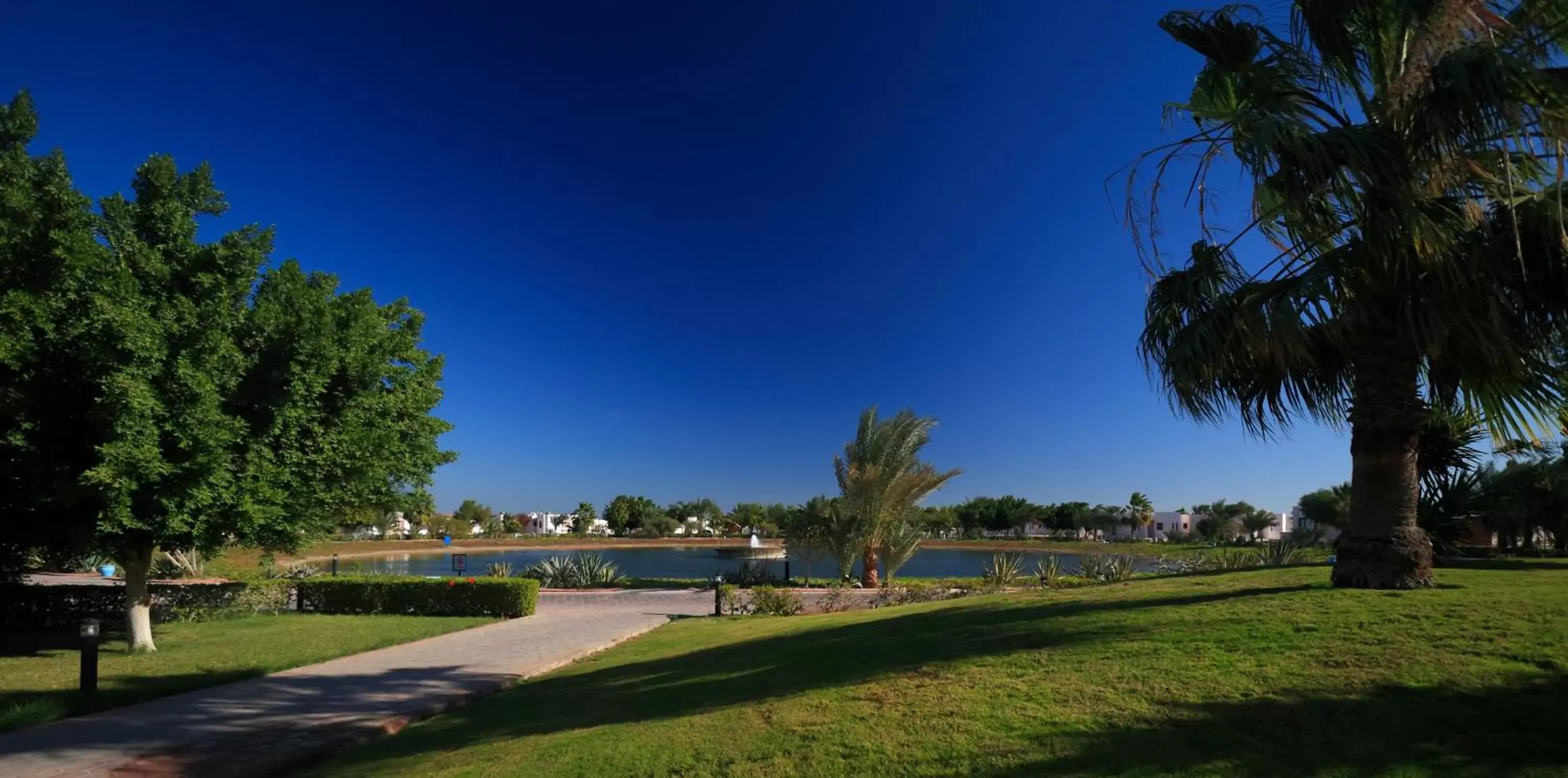 Natural landscape, Garden in Pharaoh Azur Resort