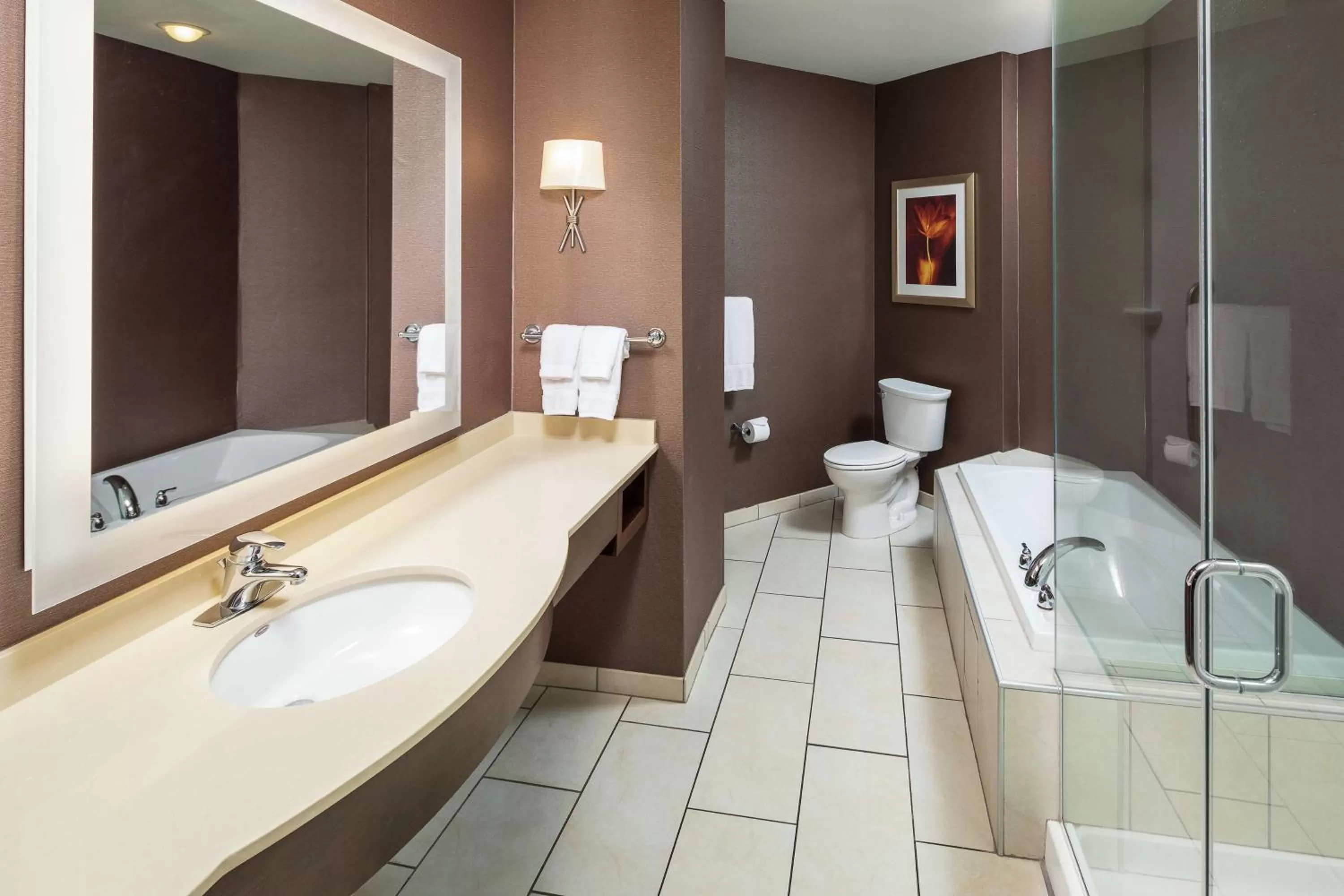 Bathroom in Hilton Garden Inn Sioux Falls Downtown