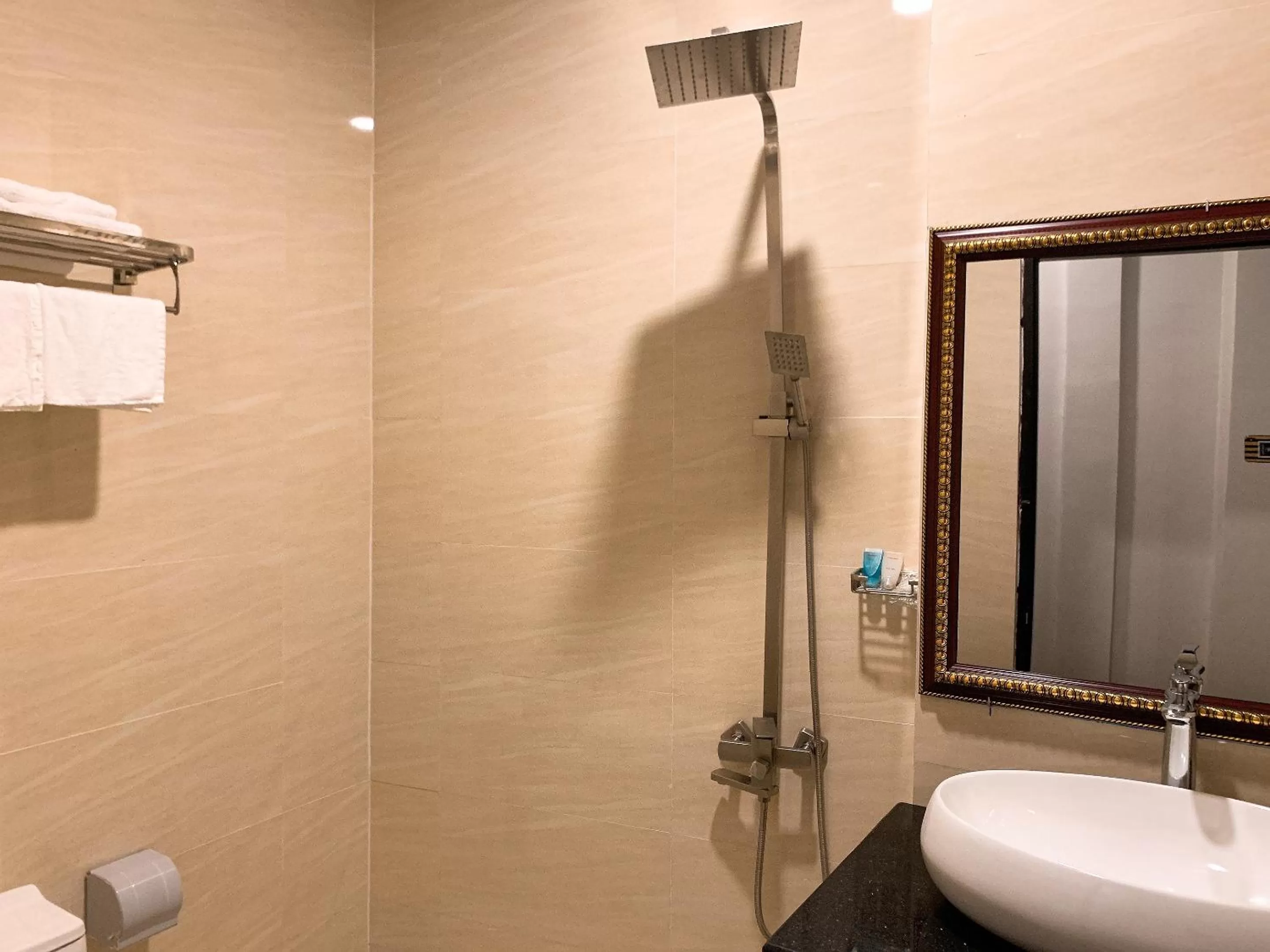 Toilet in LION HOTEL