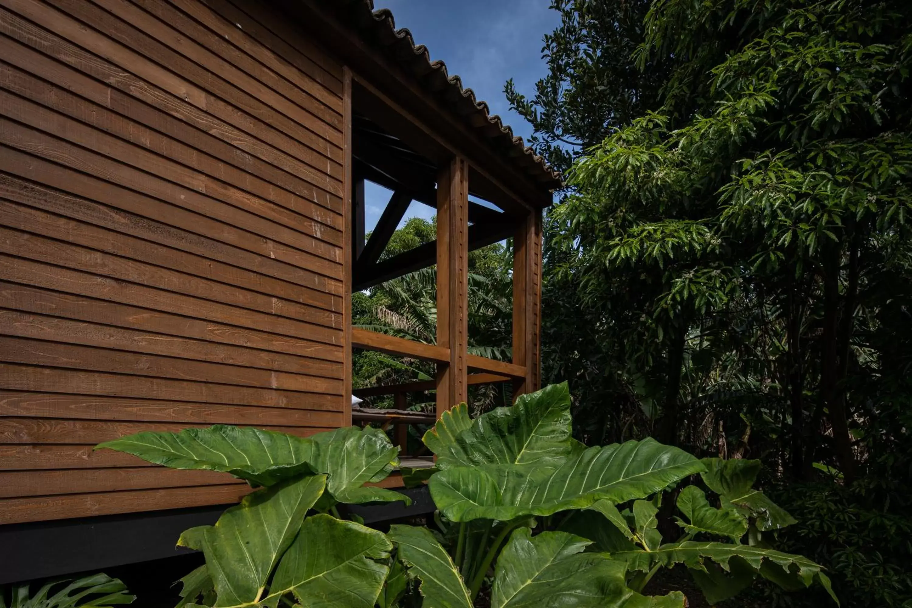Garden in Senhora da Rosa, Tradition & Nature Hotel