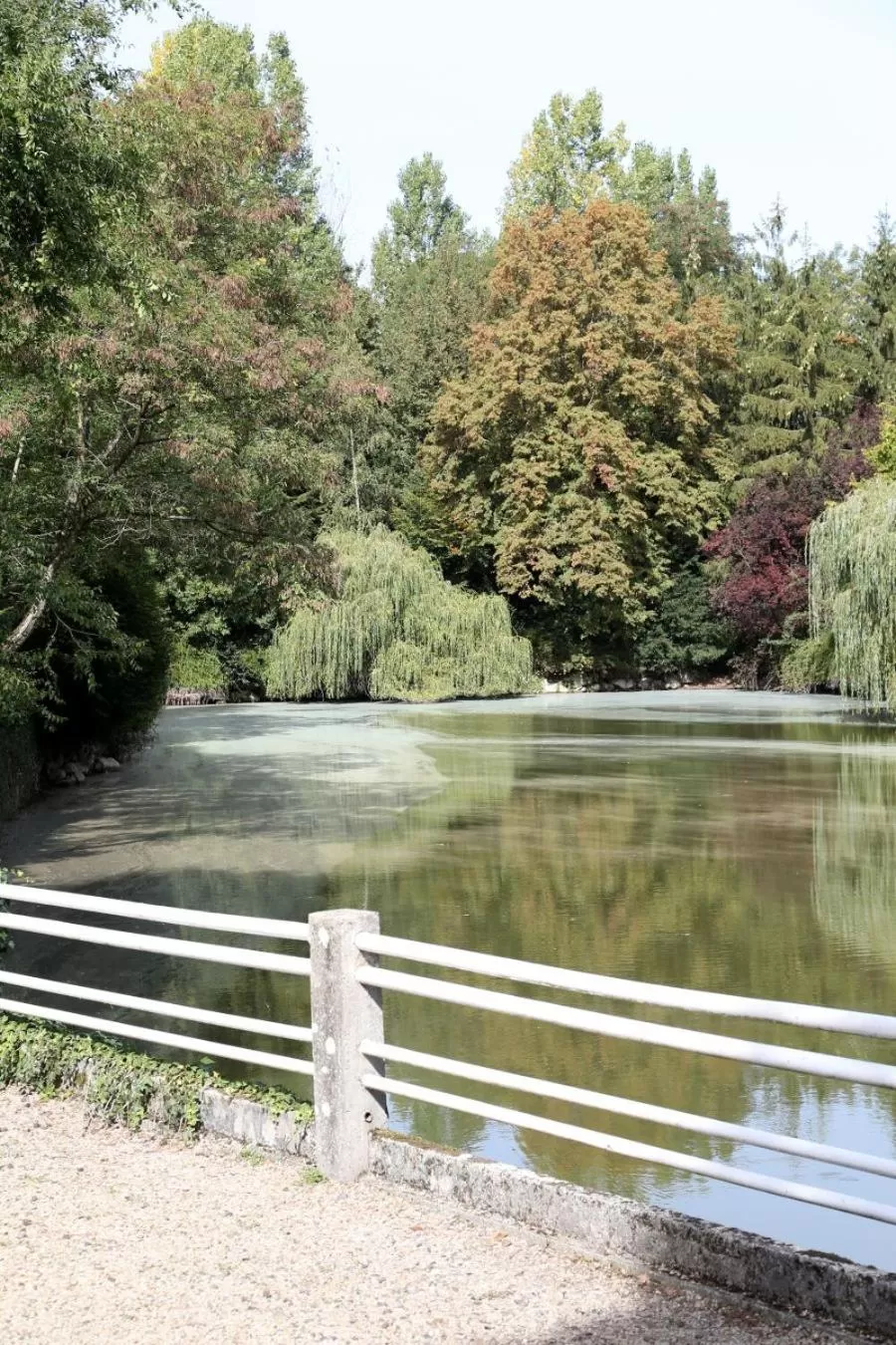 Garden view in Le Robinson