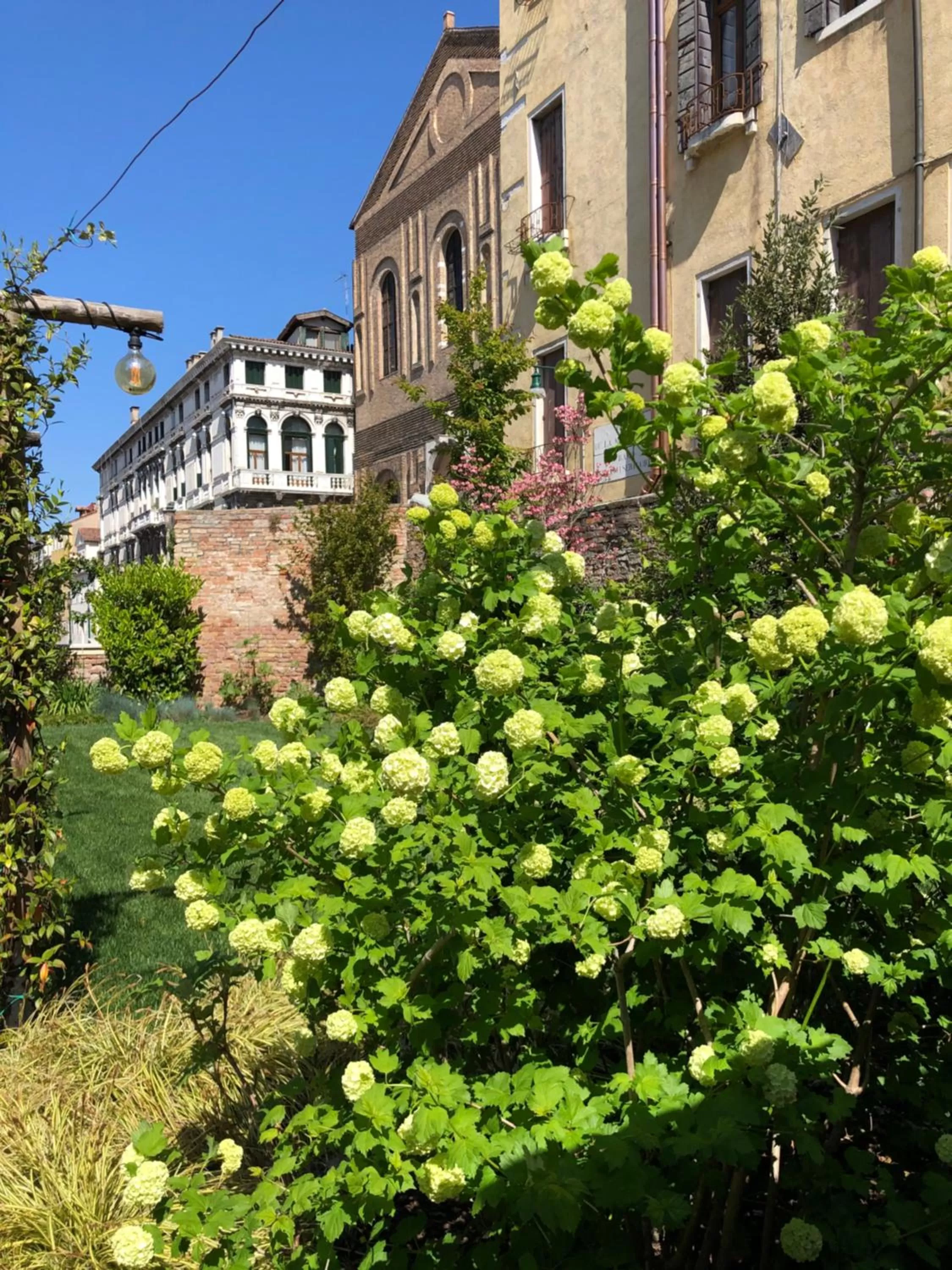 Garden in Madama Garden Retreat