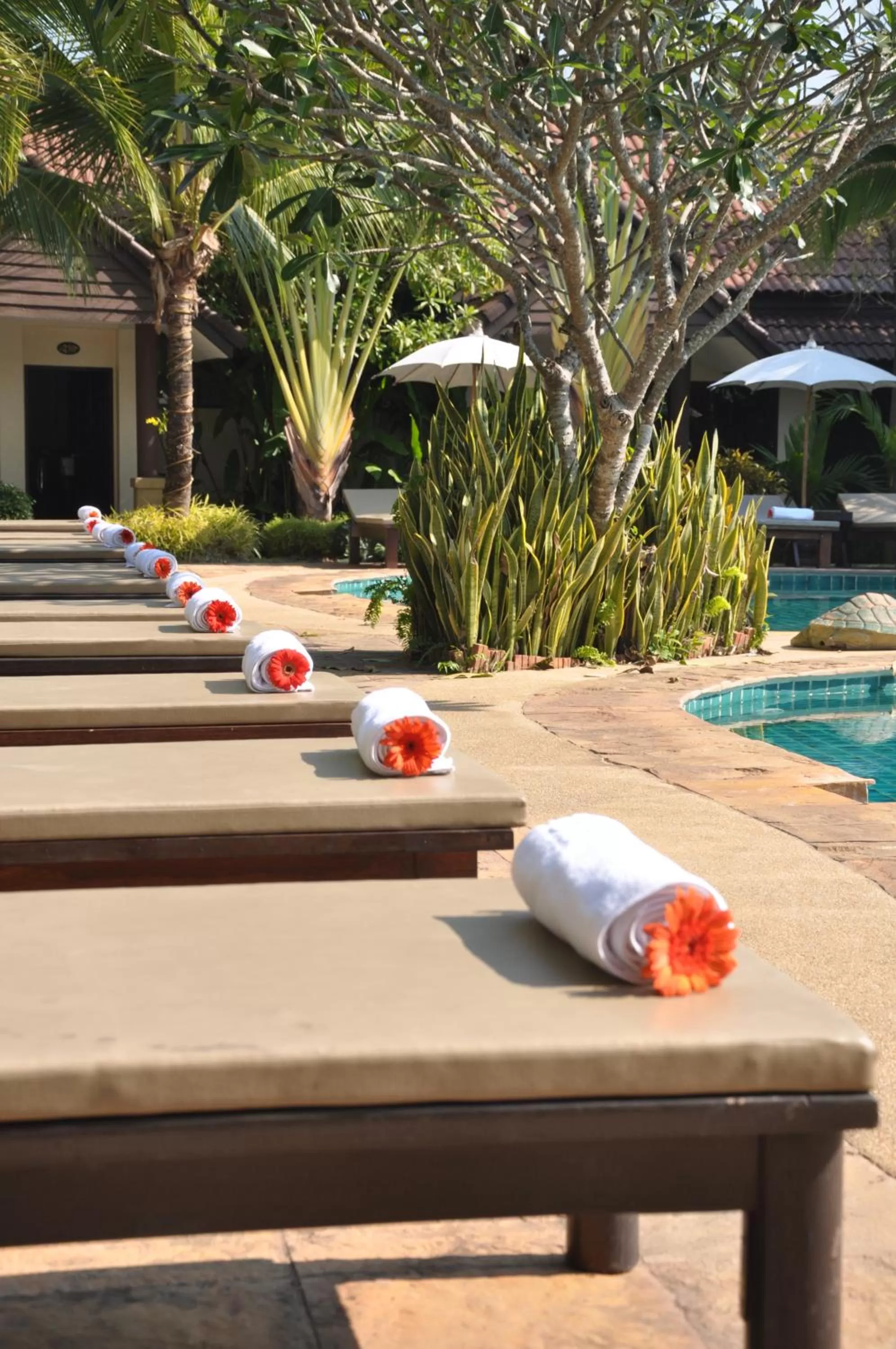 Swimming pool in Laluna Hotel And Resort, Chiang Rai