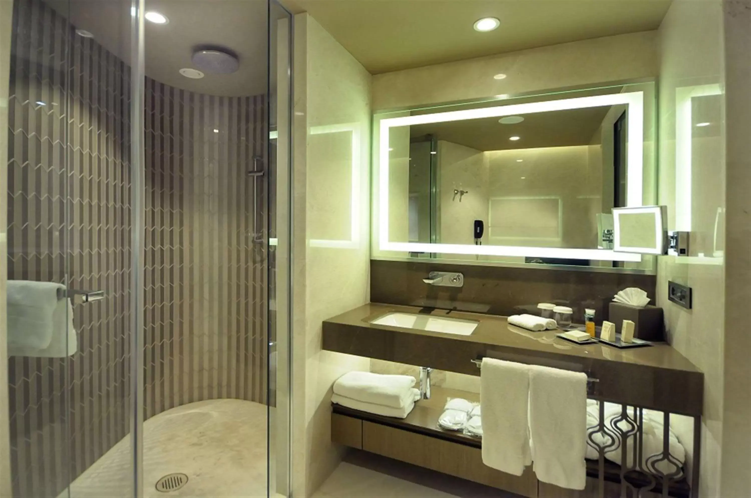 Shower, Bathroom in Hilton Istanbul Kozyatagi