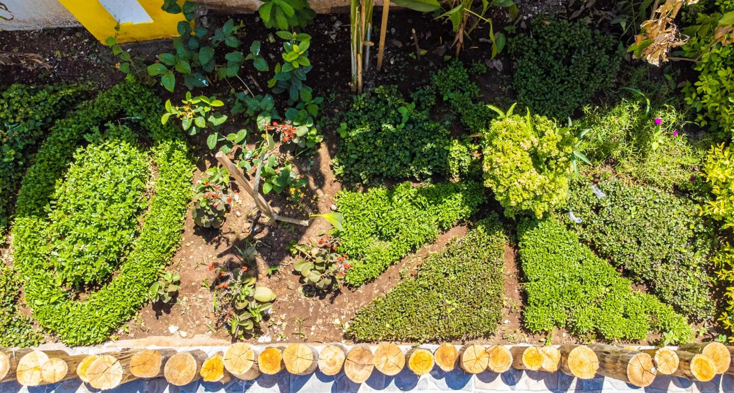 Garden in Canary Nungwi Hotel & Free SPA