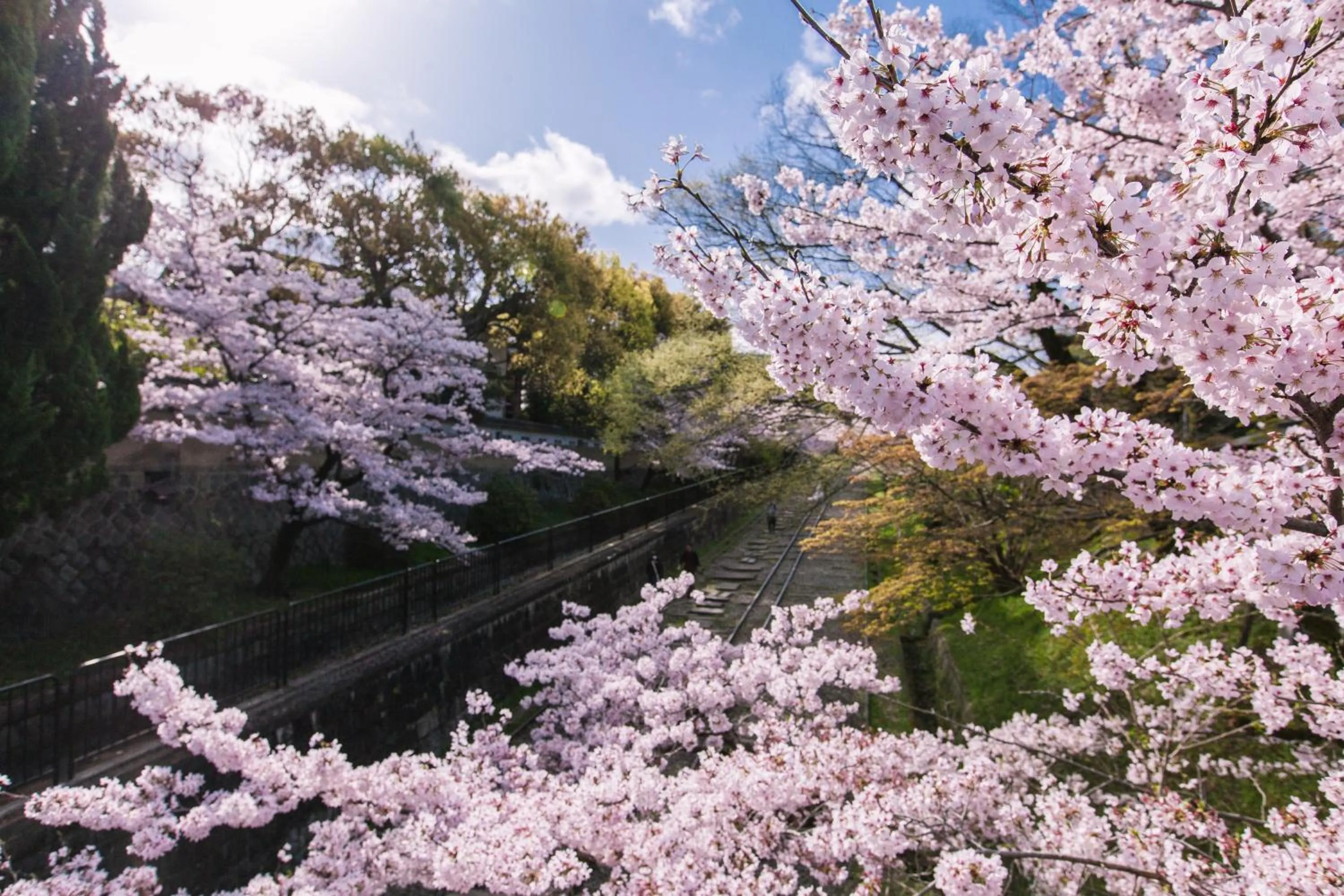 Property building in Kyoto Nanzenji Ryokan Yachiyo Established in 1915