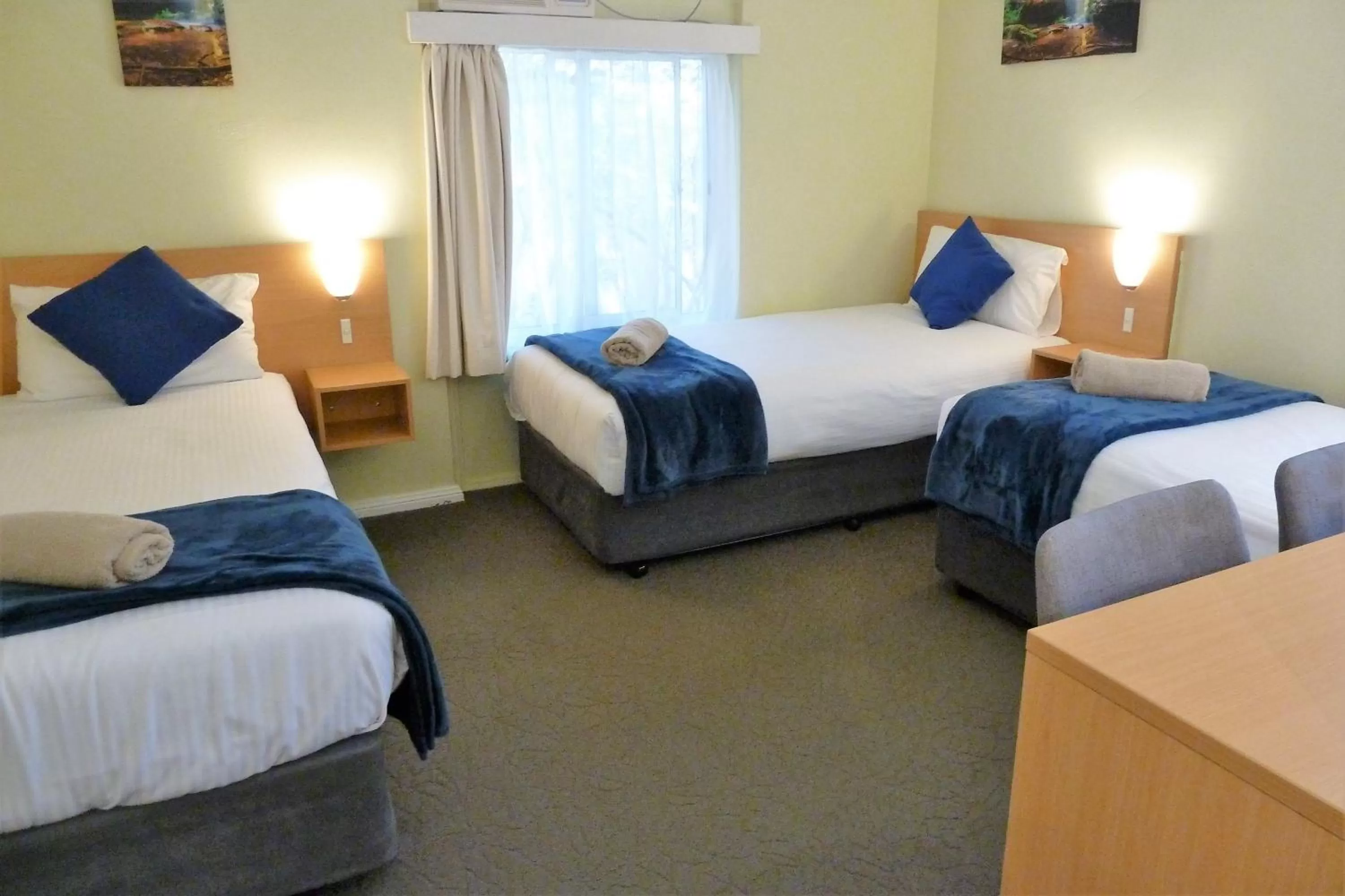 Bed in Sky Rider Motor Inn