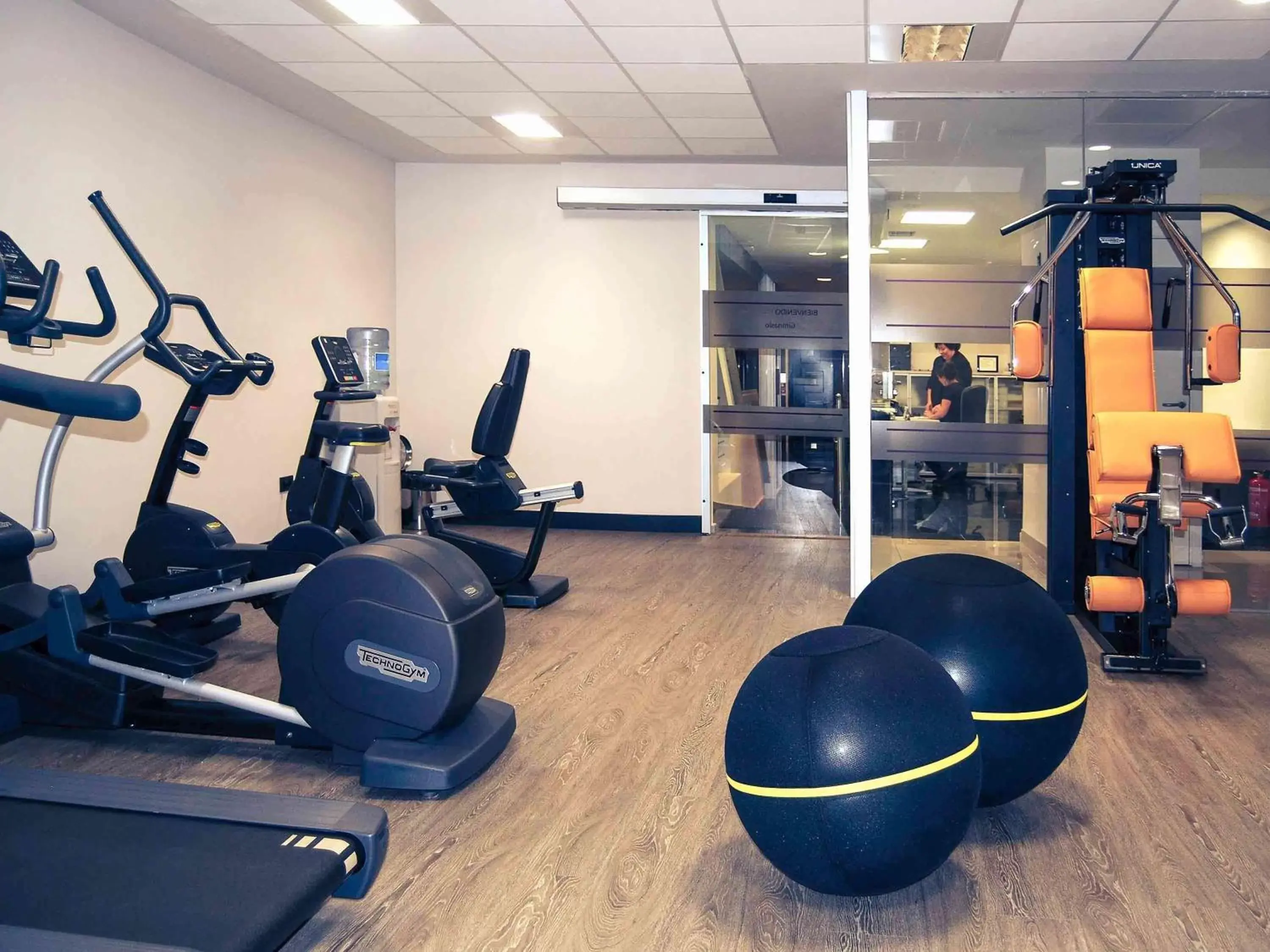 Fitness centre/facilities, Fitness Center/Facilities in Hotel Mercure Jardines de Albia