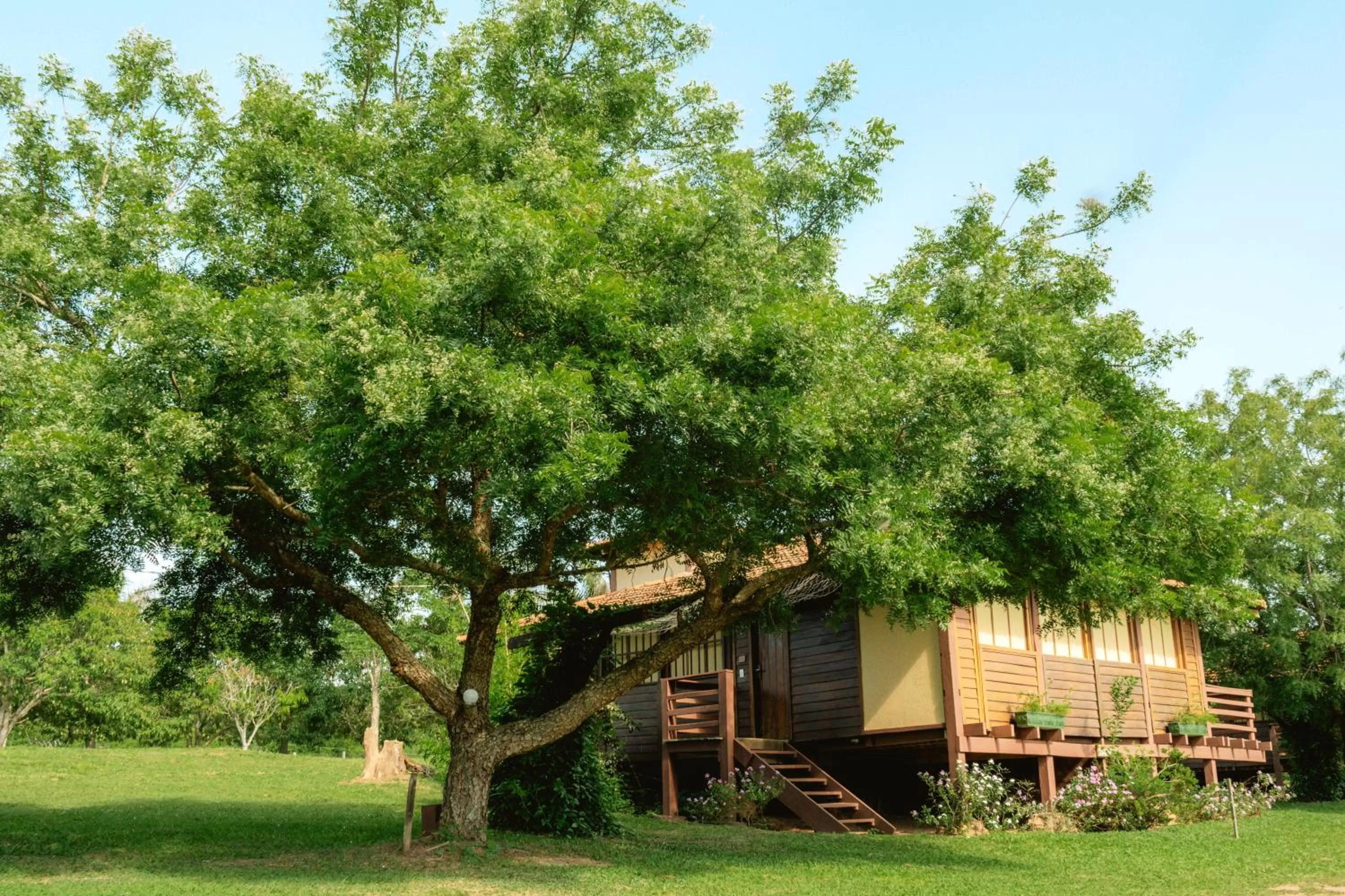 Property building in Hotel Santa Esmeralda