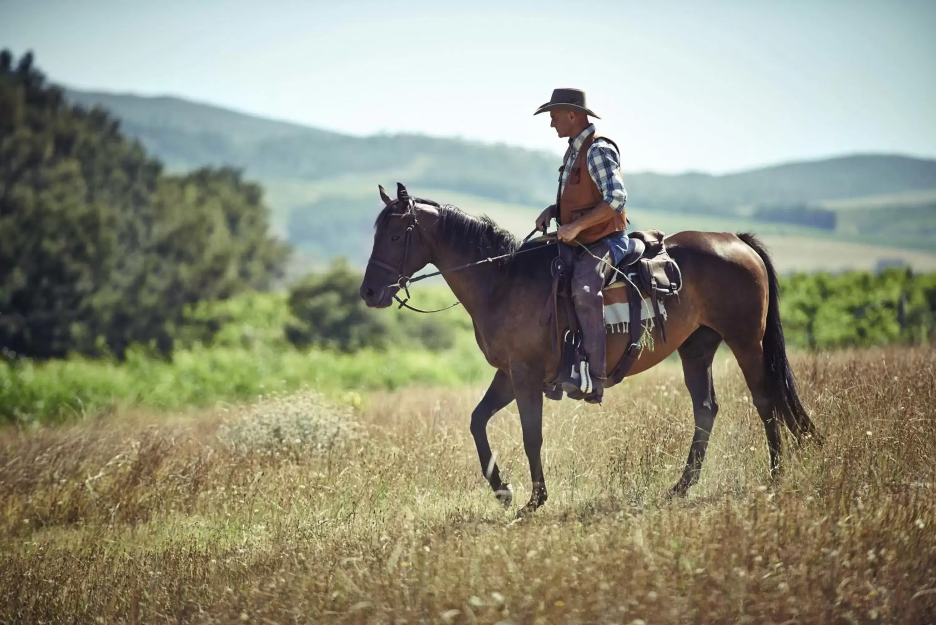 Horse-riding, Horseback Riding in Pescadores Suites Moalboal