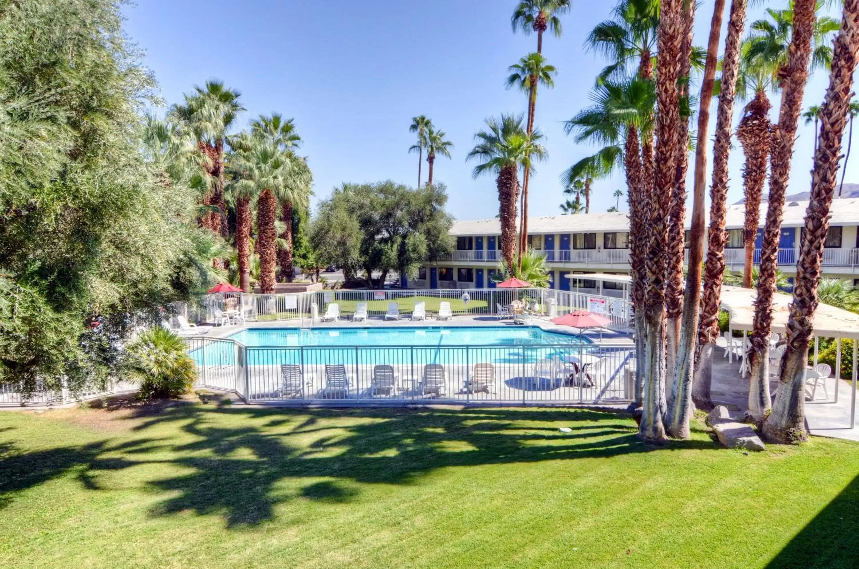 Pool view, Swimming Pool in Motel 6-Palm Springs, CA - East - Palm Canyon