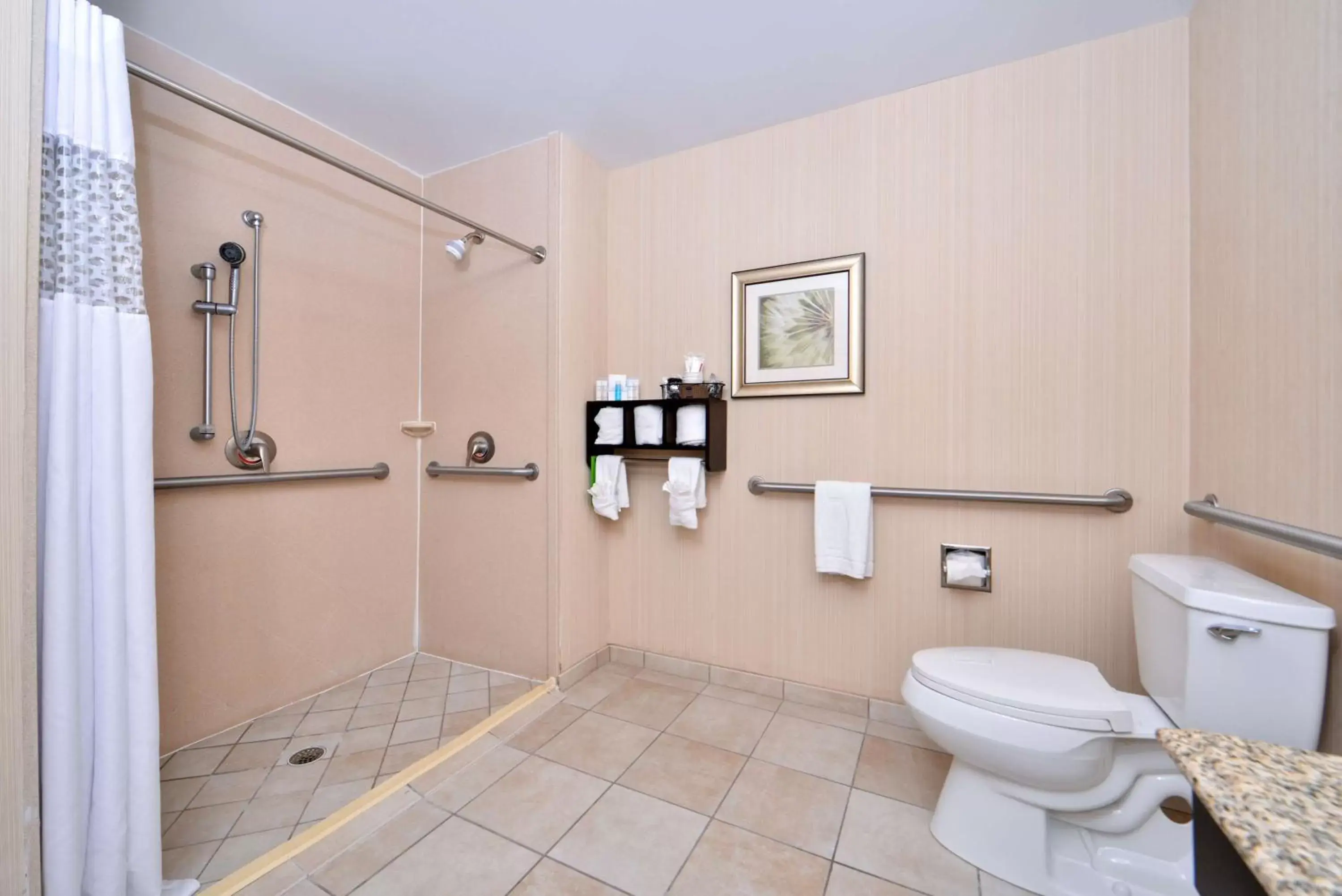 Bathroom in Hampton Inn Pecos