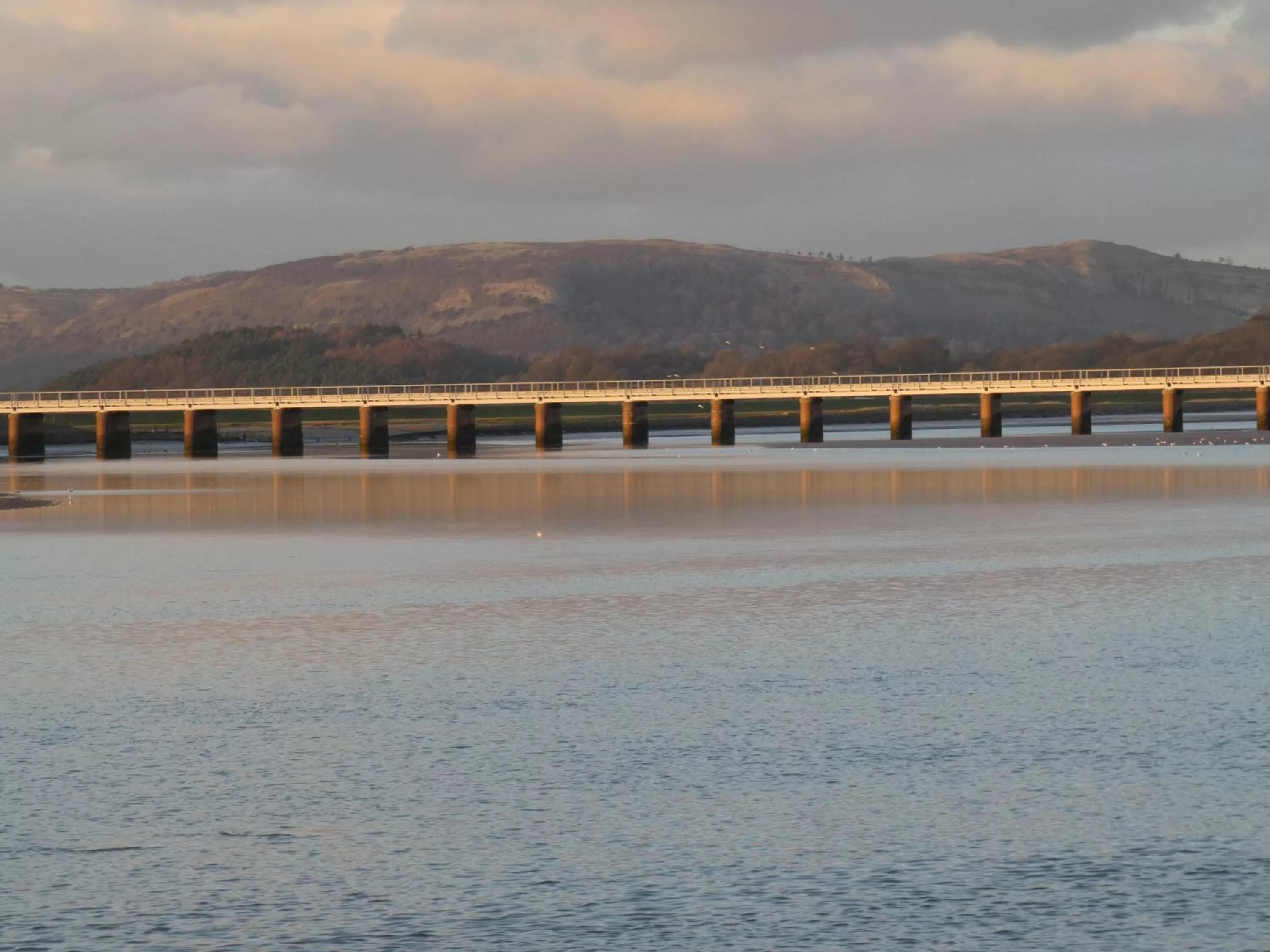 Neighbourhood in Kentwood Guest House