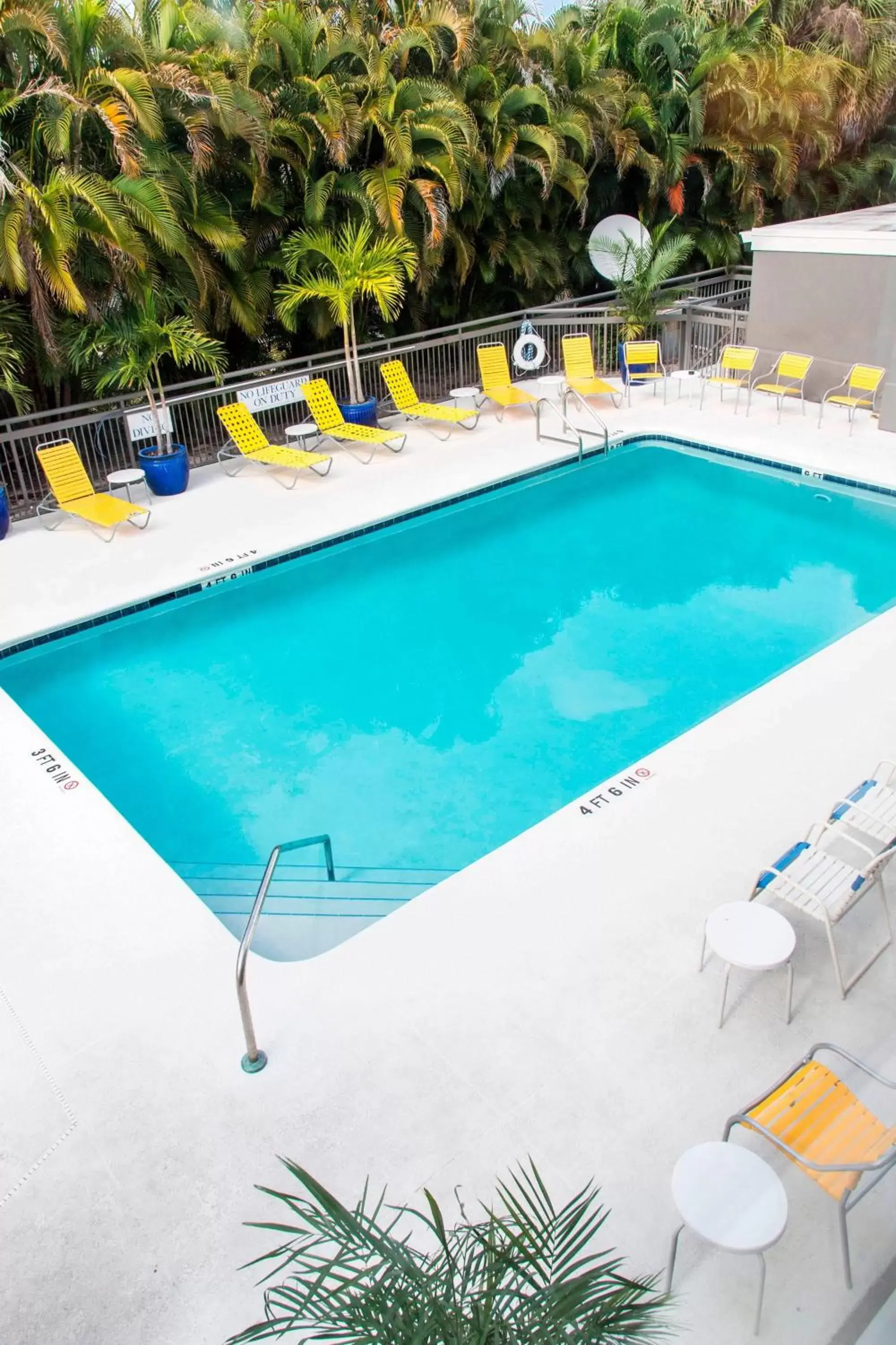 Swimming pool, Pool View in Fairfield Inn & Suites by Marriott Fort Myers Cape Coral