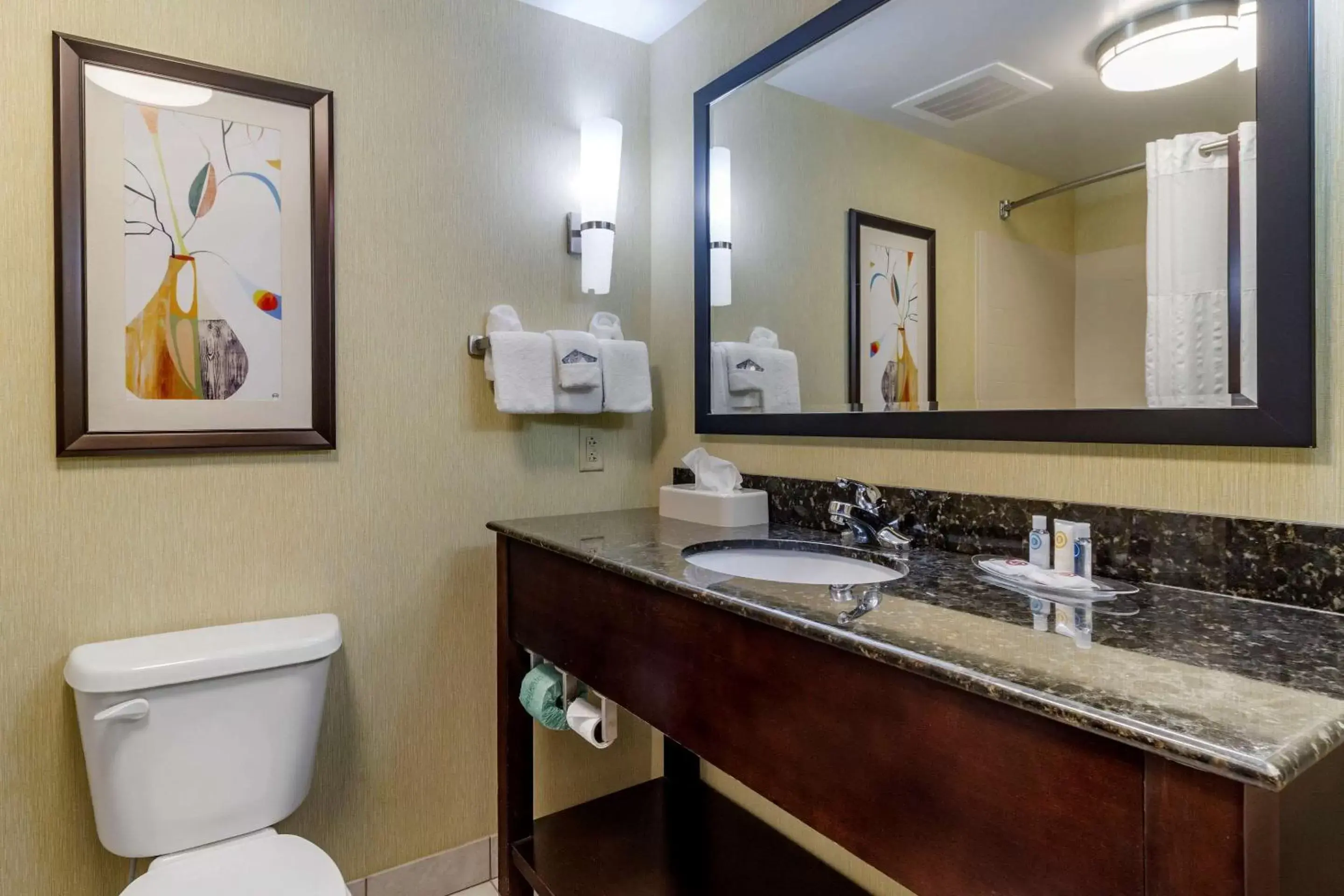 Bedroom, Bathroom in Comfort Suites Knoxville West - Farragut