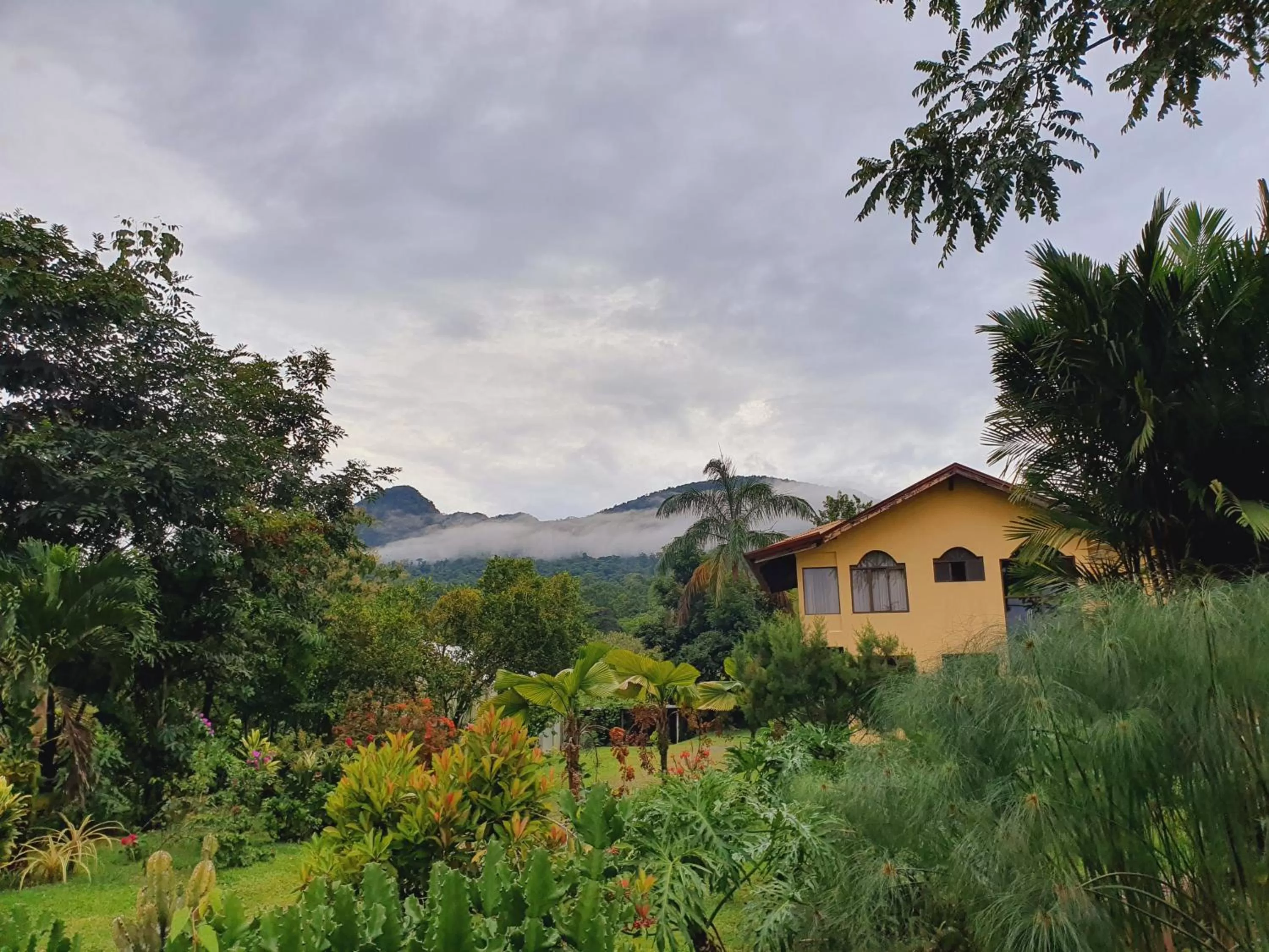 Patio in Yellow Tree Suites