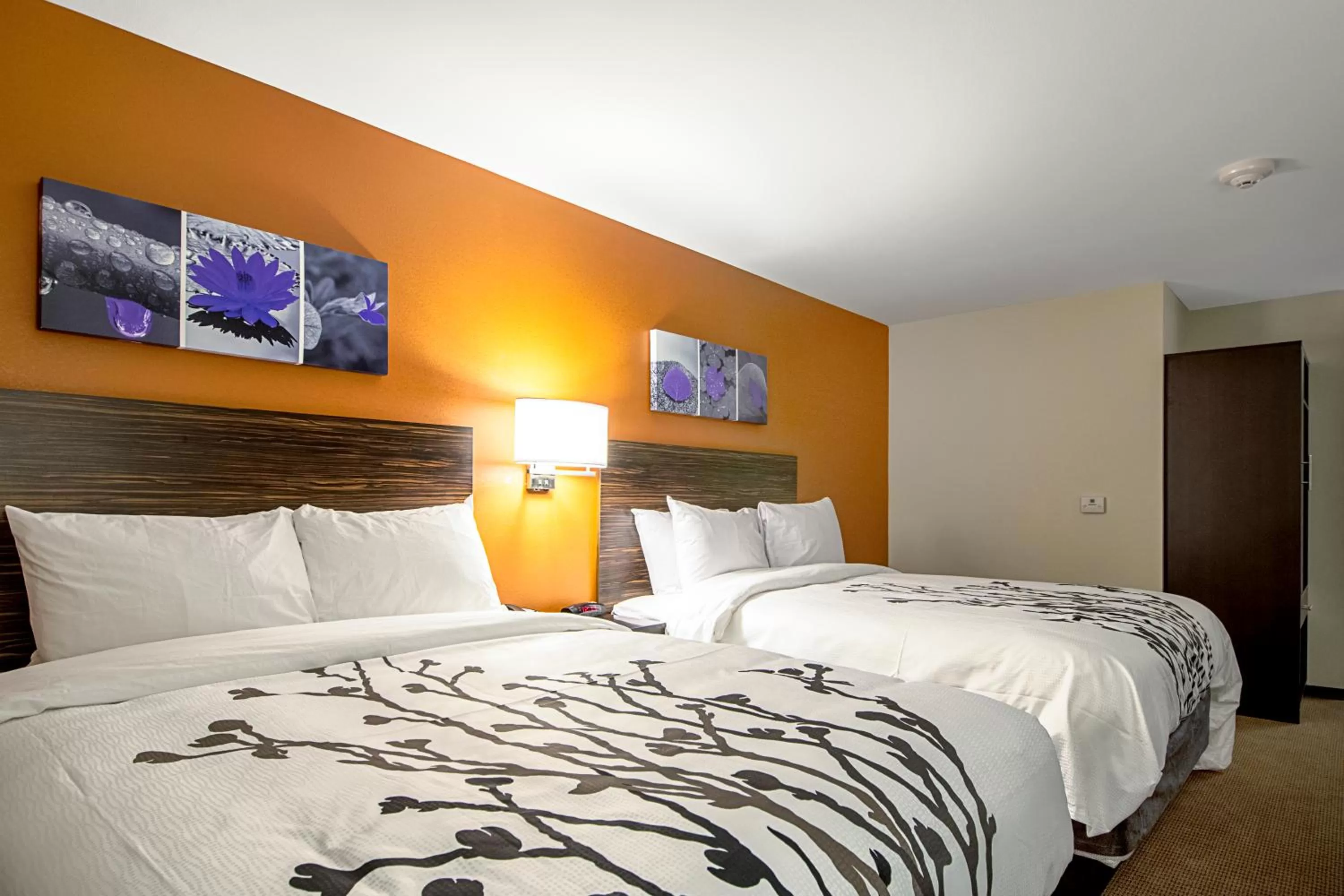 Photo of the whole room, Bed in Sleep Inn Geismar - Gonzales