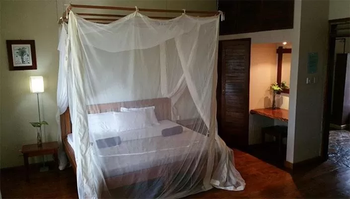 Photo of the whole room, Bed in Surjios Guest House