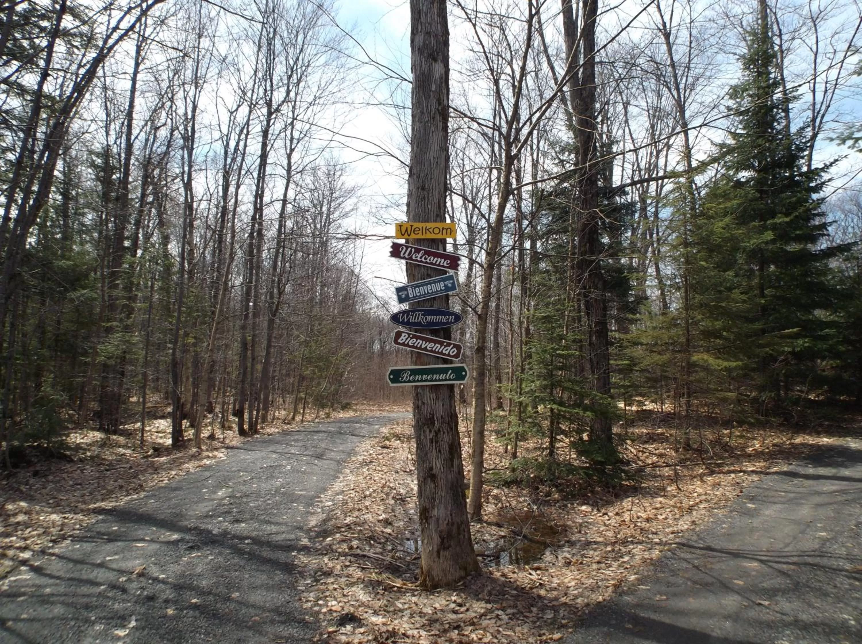 Property logo or sign in Bed and Breakfast Comfy & Cozy