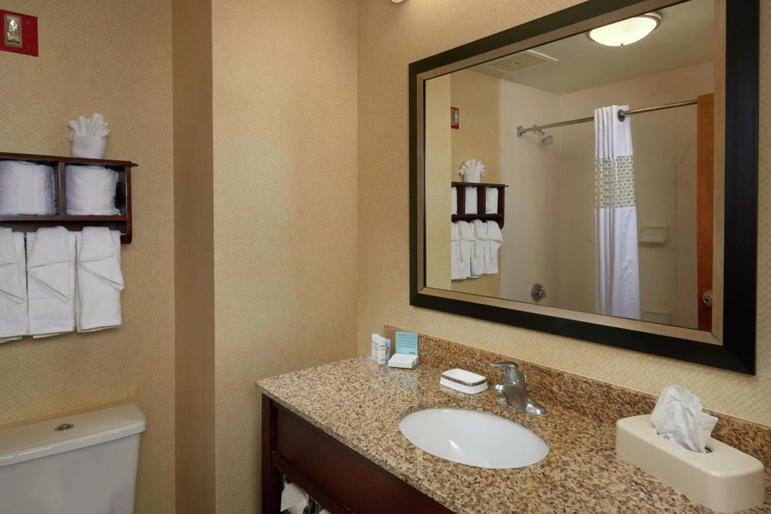 Bathroom in Hampton Inn Newport News-Yorktown