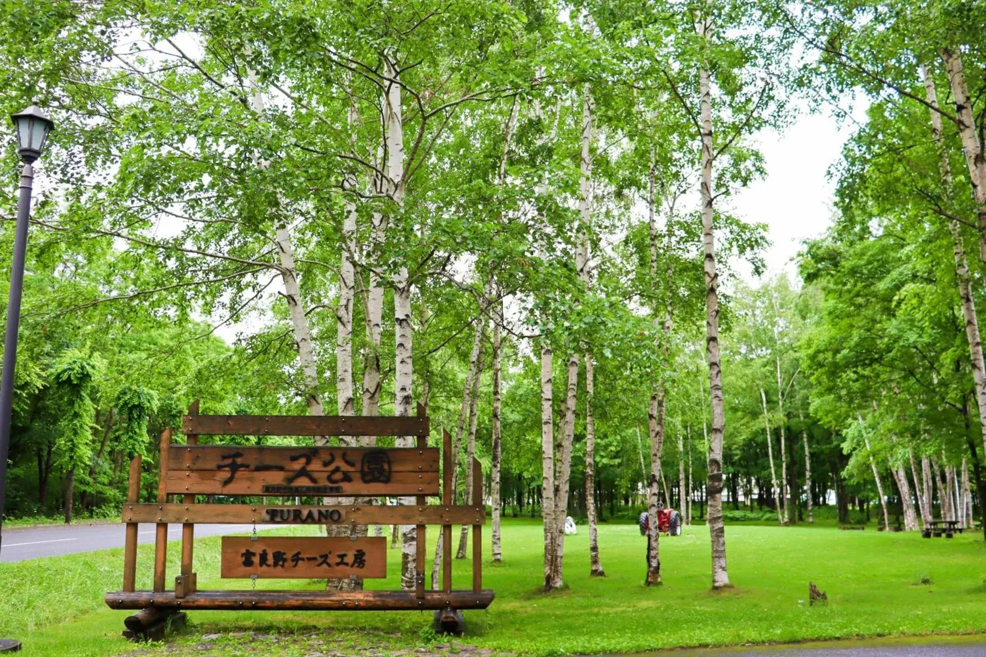 Garden in Hotel Edel Warme