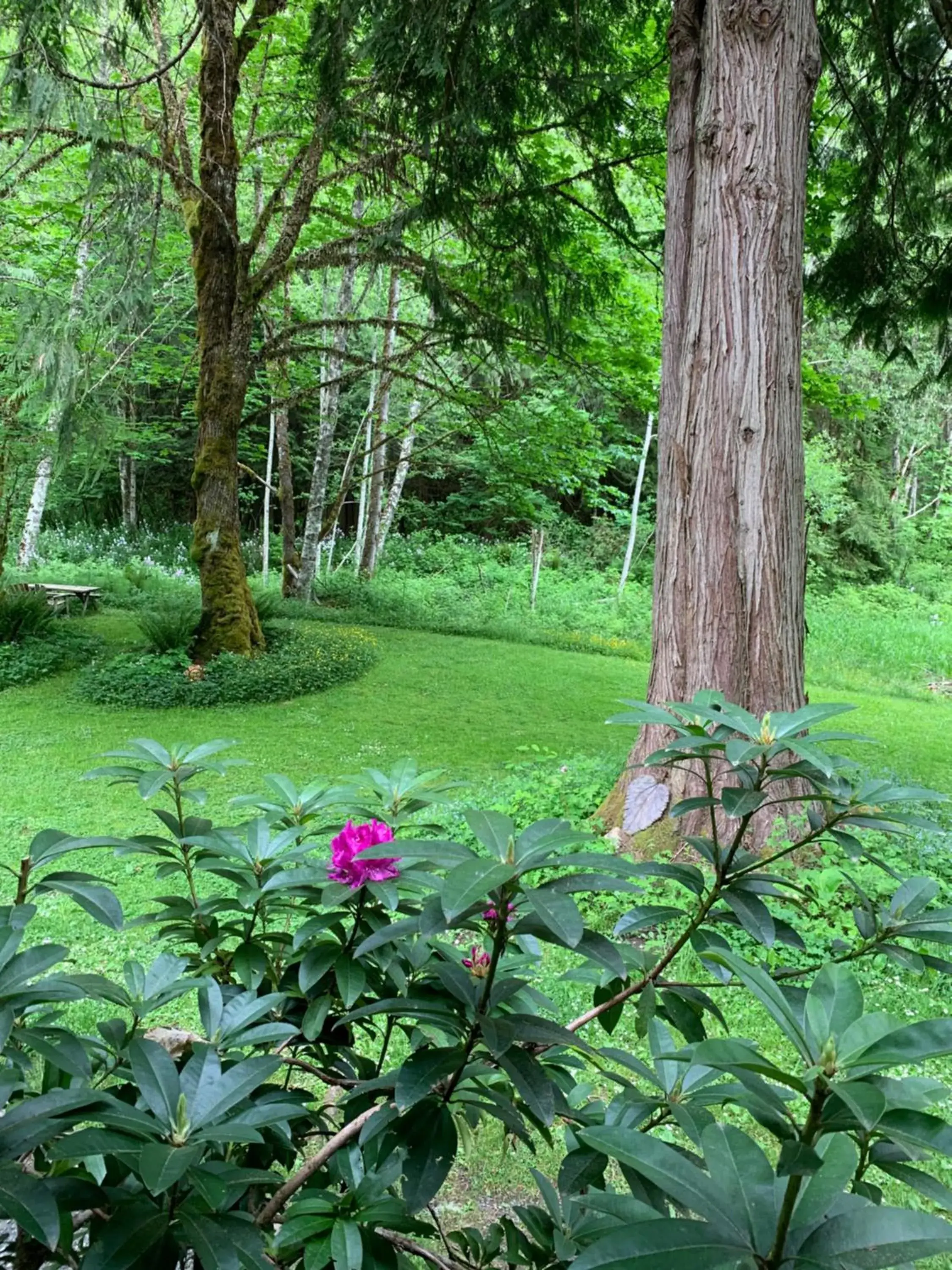 Natural landscape, Garden in Mountain Meadows Inn